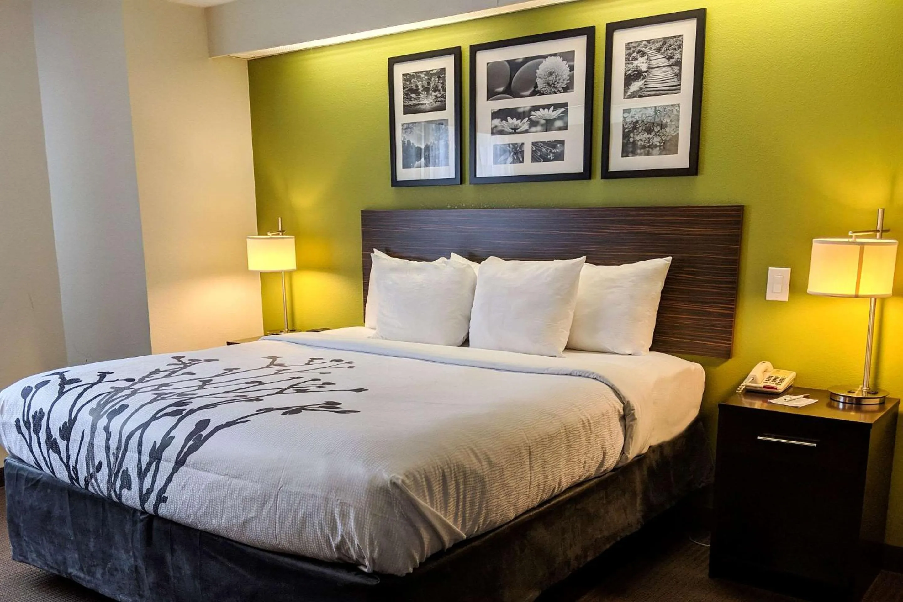 King Room - Non Smoking in Sleep Inn Woodbridge - Potomac Mills