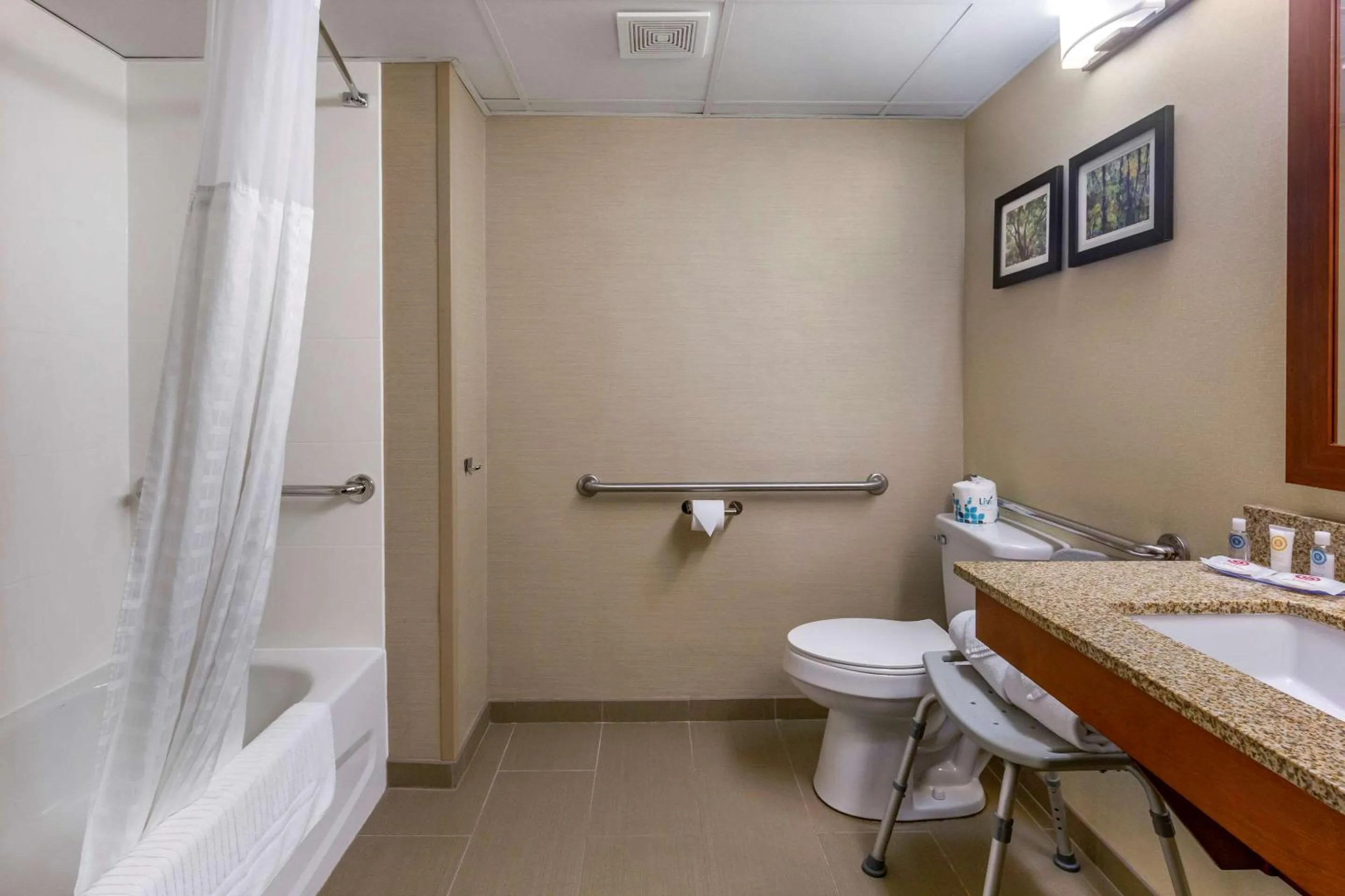 King Room - Accessible/Non-Smoking in Comfort Inn & Suites near Danville Mall