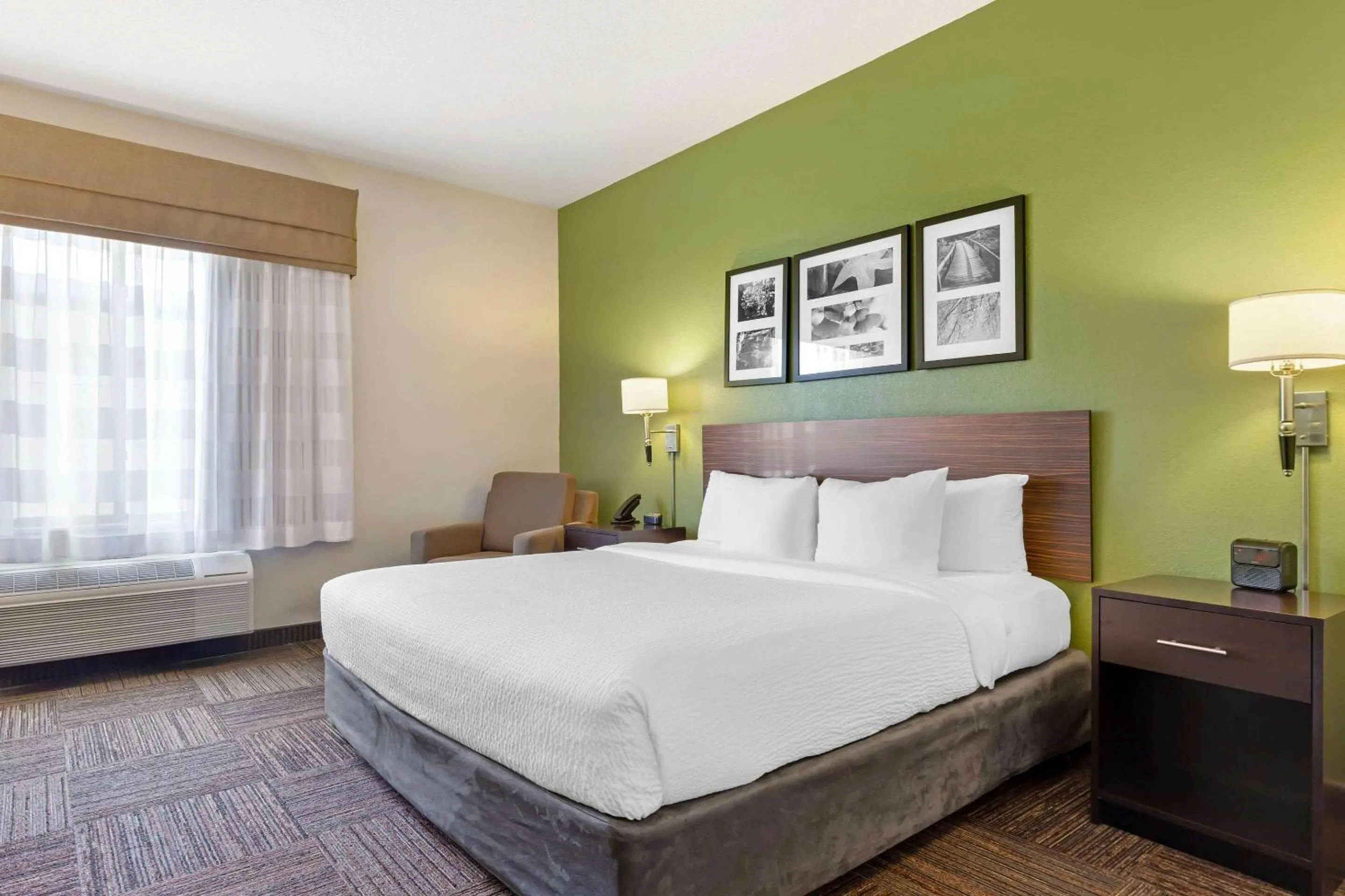 King Room in Sleep Inn & Suites Danville Hwy 58