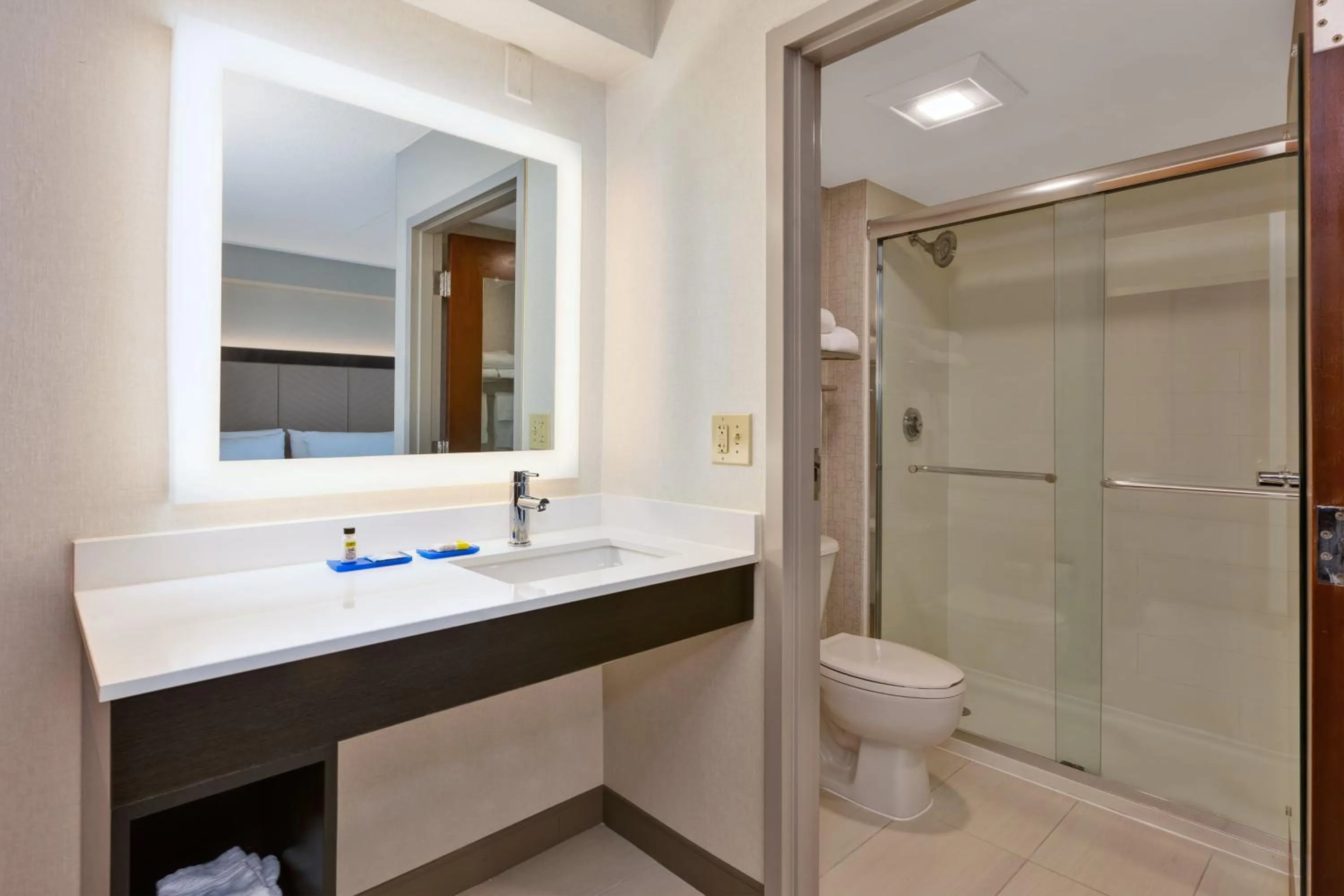 King Suite with Walk-In Shower in Holiday Inn Express Blacksburg by IHG
