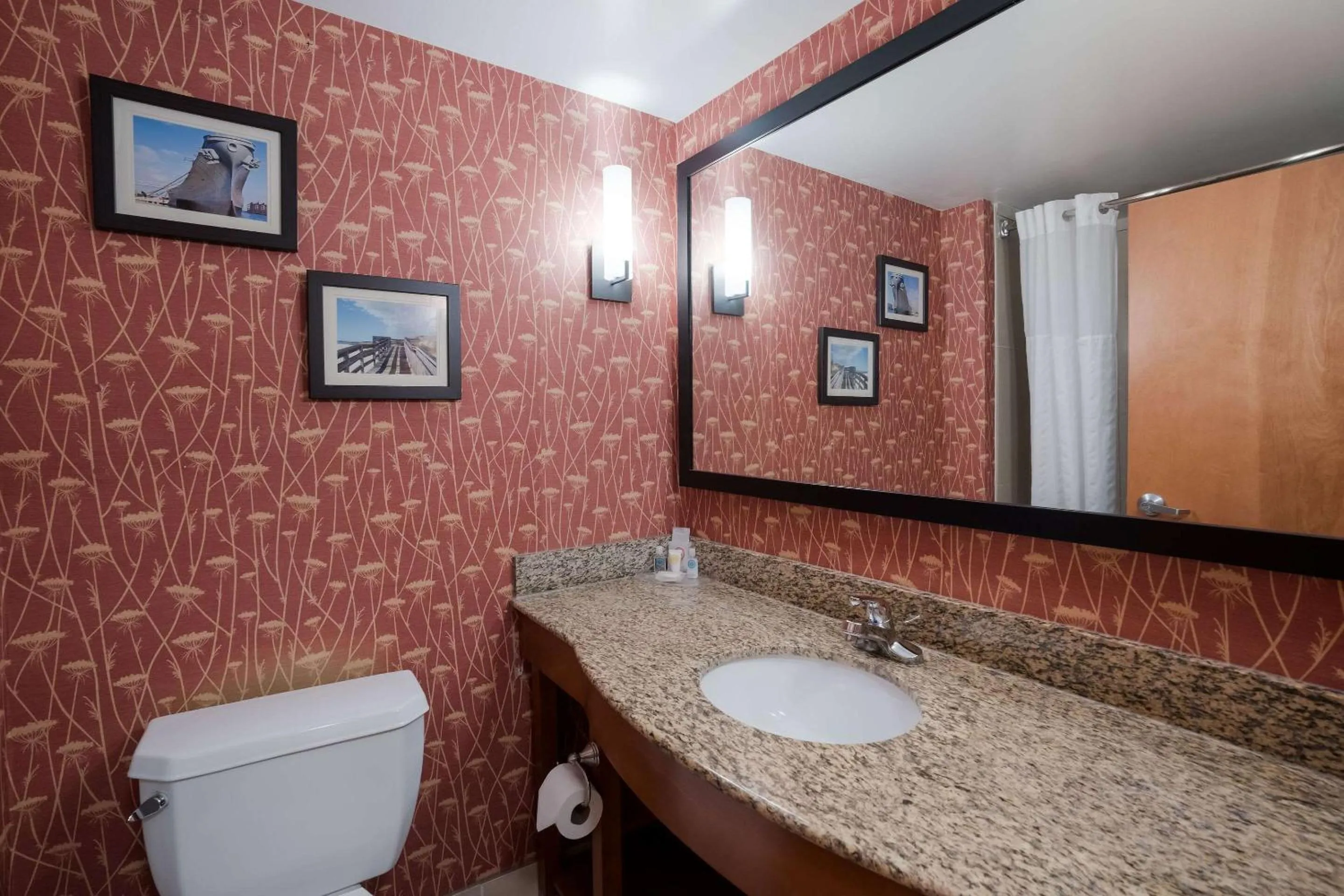 King Suite - Accessible/Non-Smoking in Comfort Suites Suffolk - Chesapeake