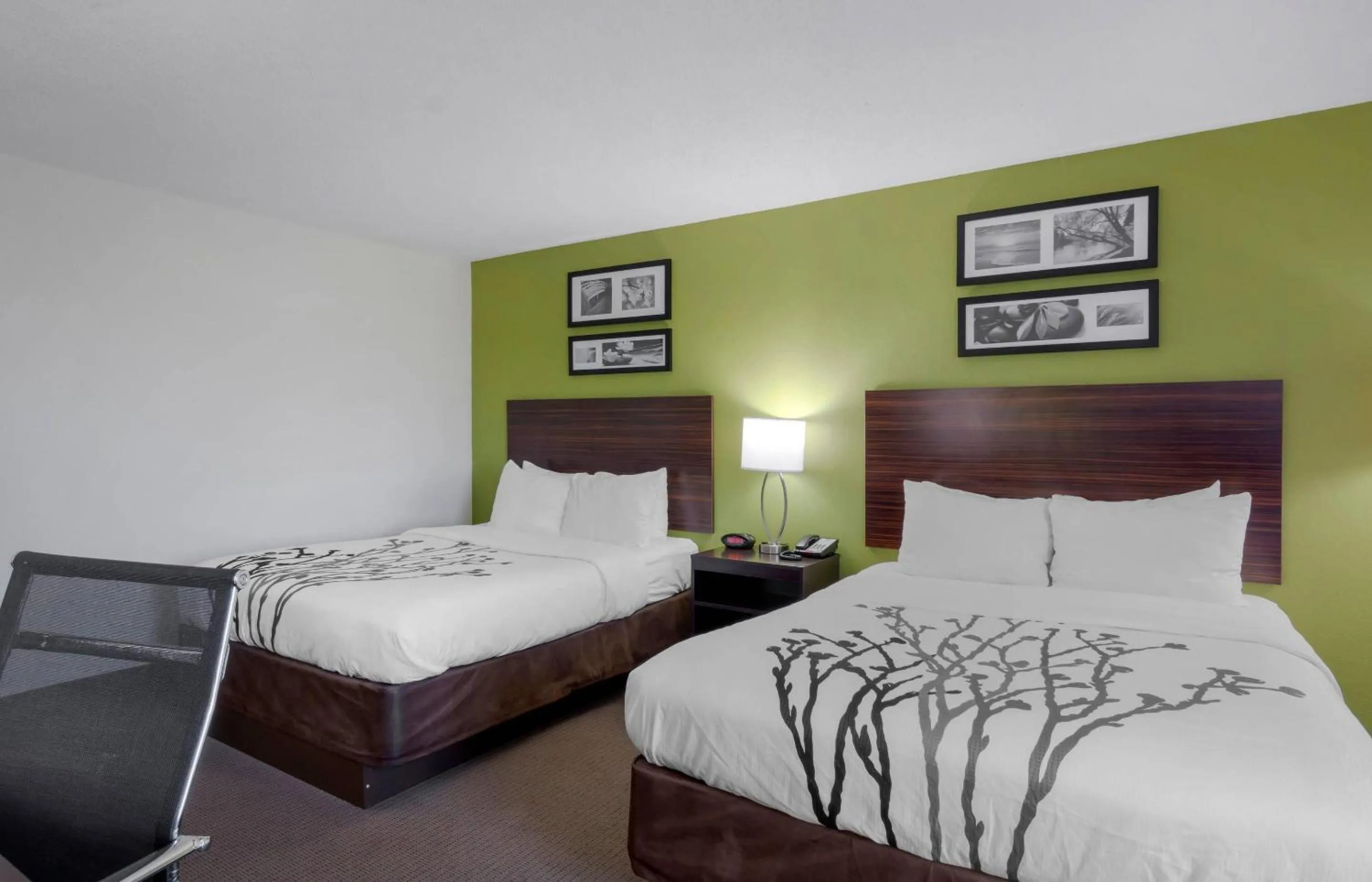 Queen Room with Two Queen Beds - Disability Access in Sleep Inn & Suites Prince George near Fort Lee