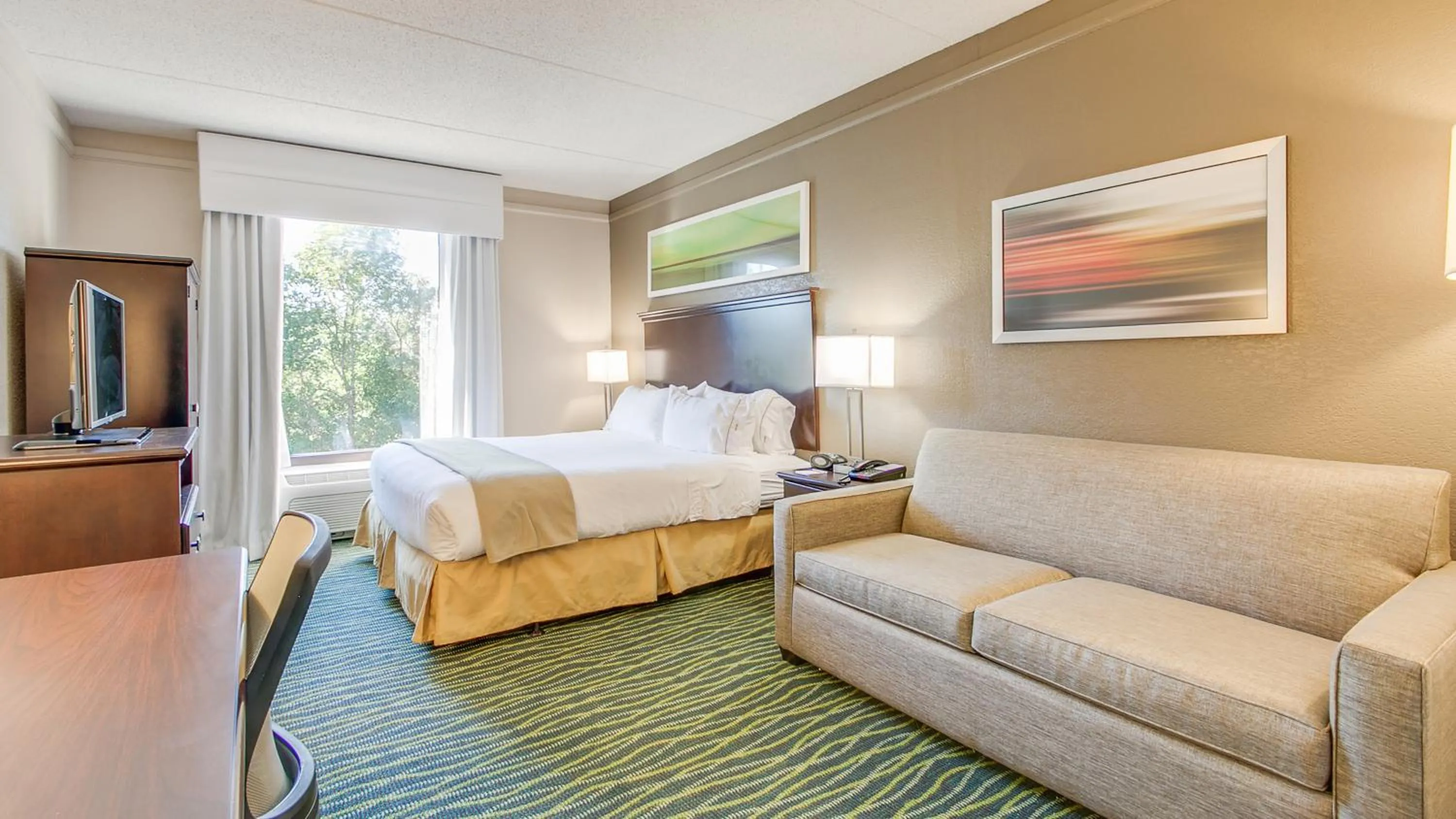 King Suite - Non-Smoking in Holiday Inn Express Hotel & Suites Midlothian Turnpike, an IHG Hotel