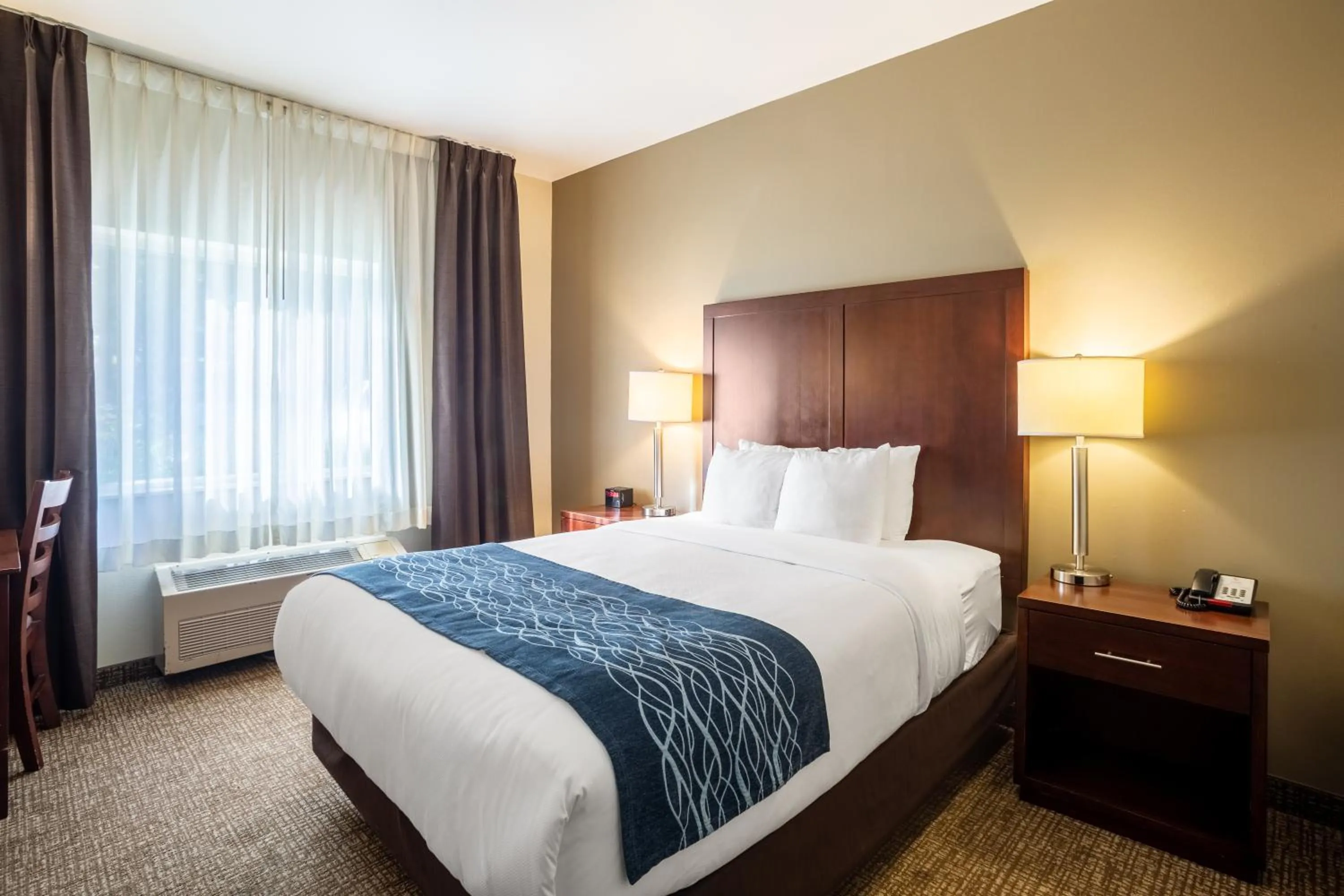 Queen Room - Accessible/Non-Smoking in Comfort Inn Lacey - Olympia