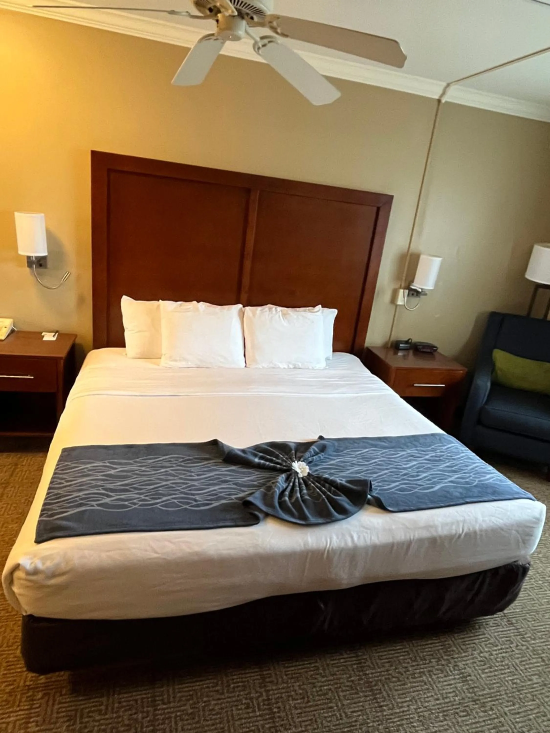 King Room in Comfort Inn & Suites Ocean Shores