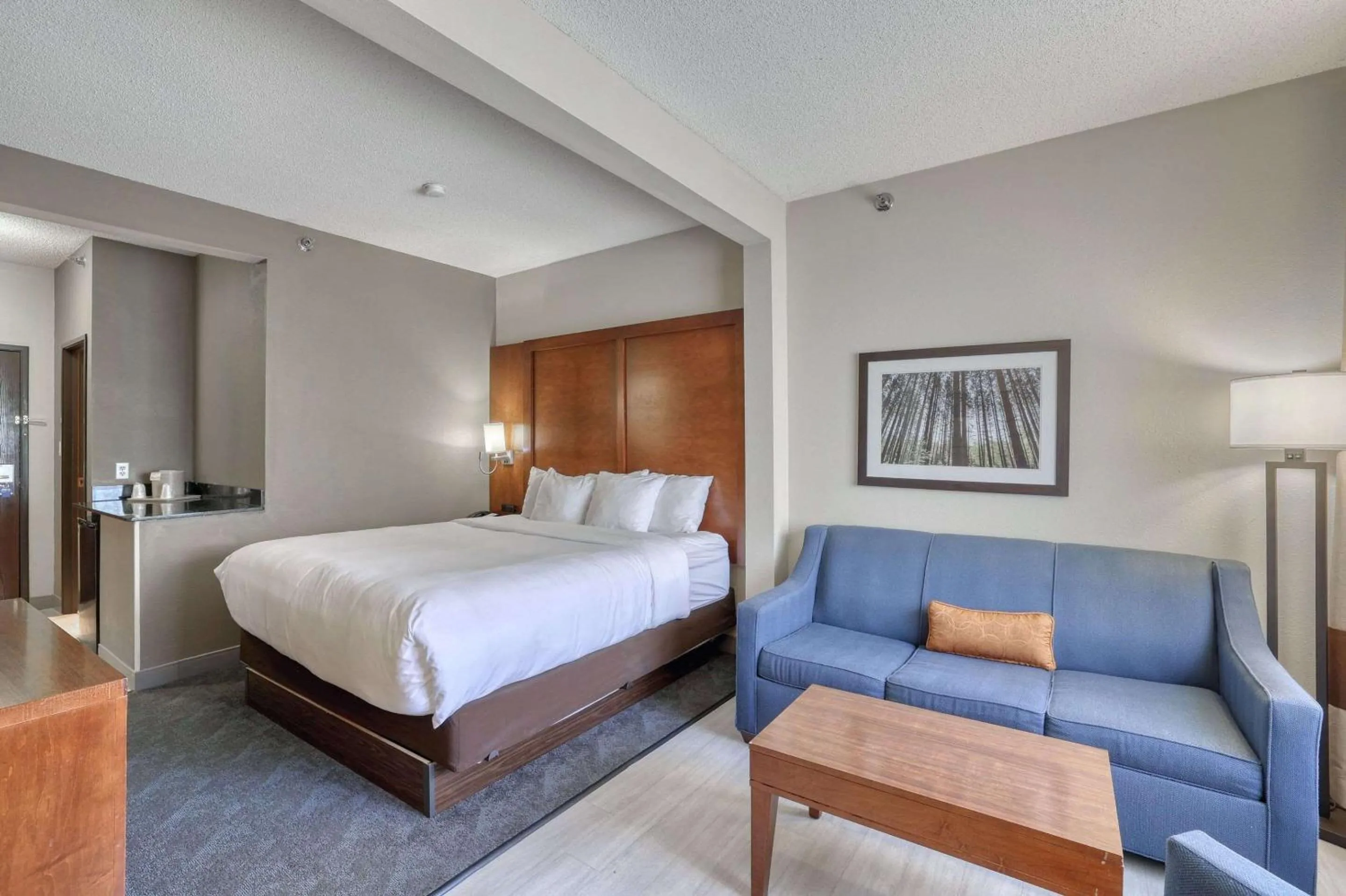 Executive King Suite - Non-Smoking in Comfort Suites Appleton Airport