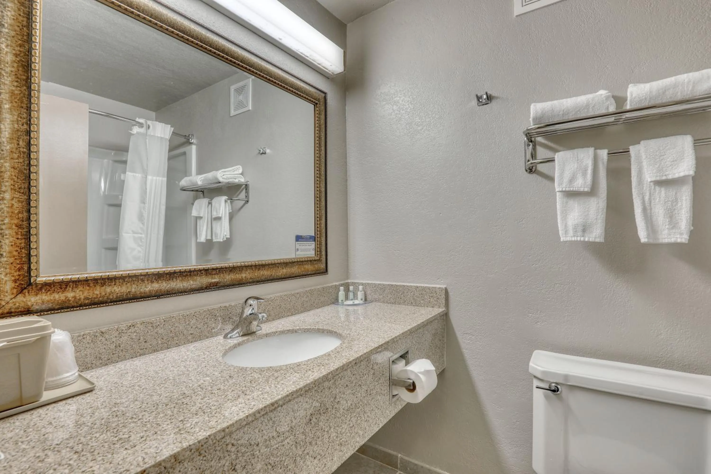 Superior Efficiency Queen Room - Non-Smoking in Quality Inn & Suites Green Bay Downtown