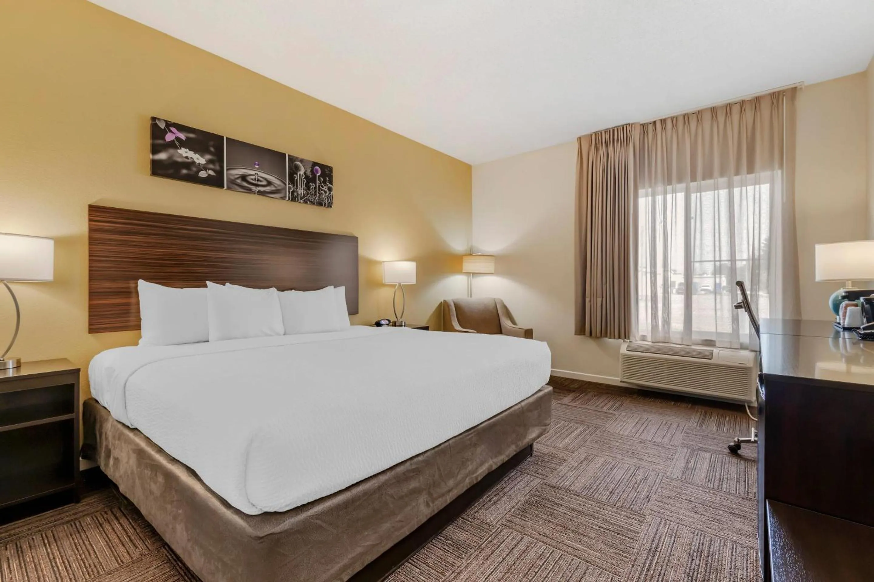King Room - Non-Smoking in Sleep Inn & Suites Wisconsin Rapids