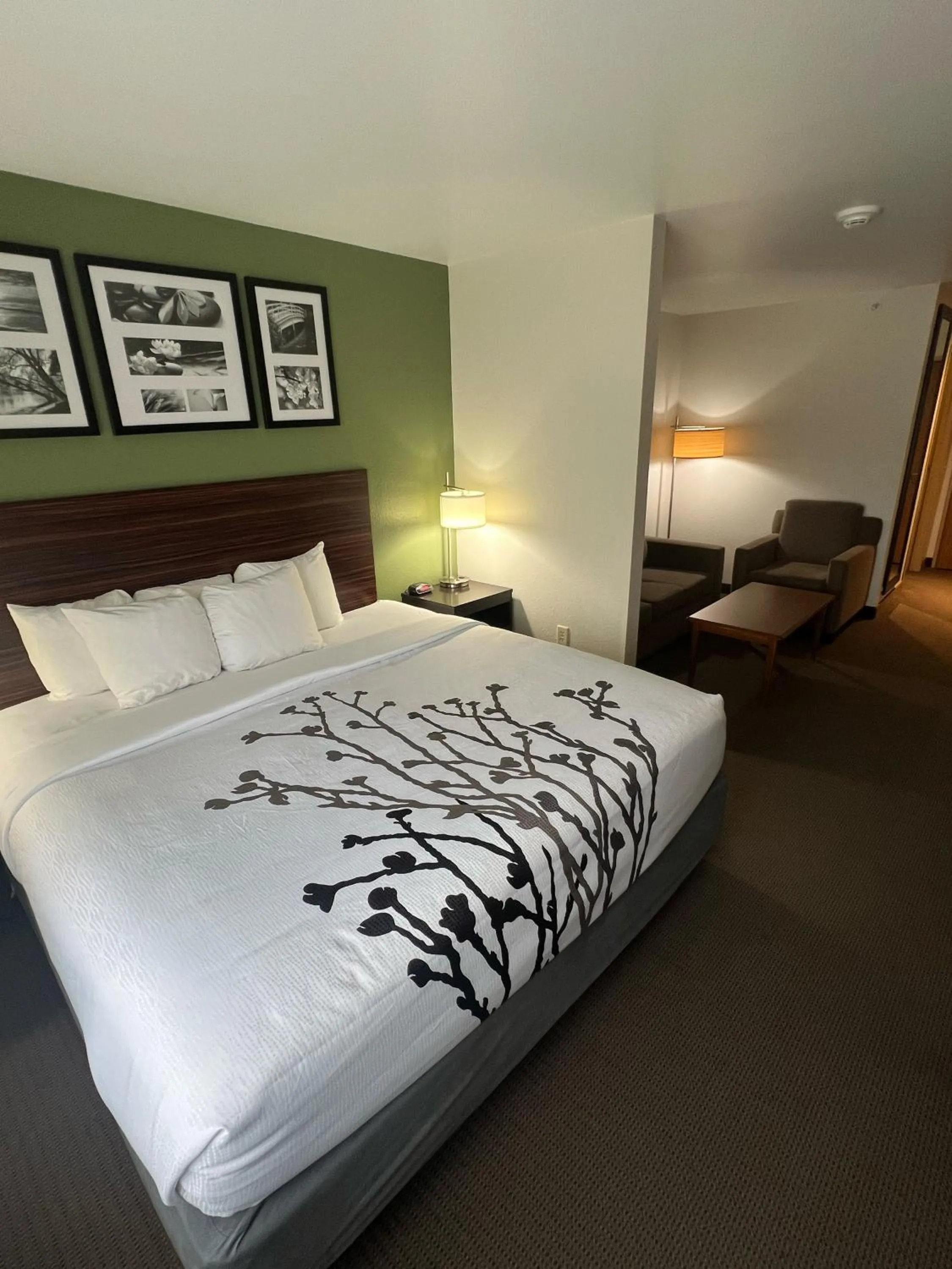 King Suite - Non-Smoking in Sleep Inn & Suites Conference Center Eau Claire North