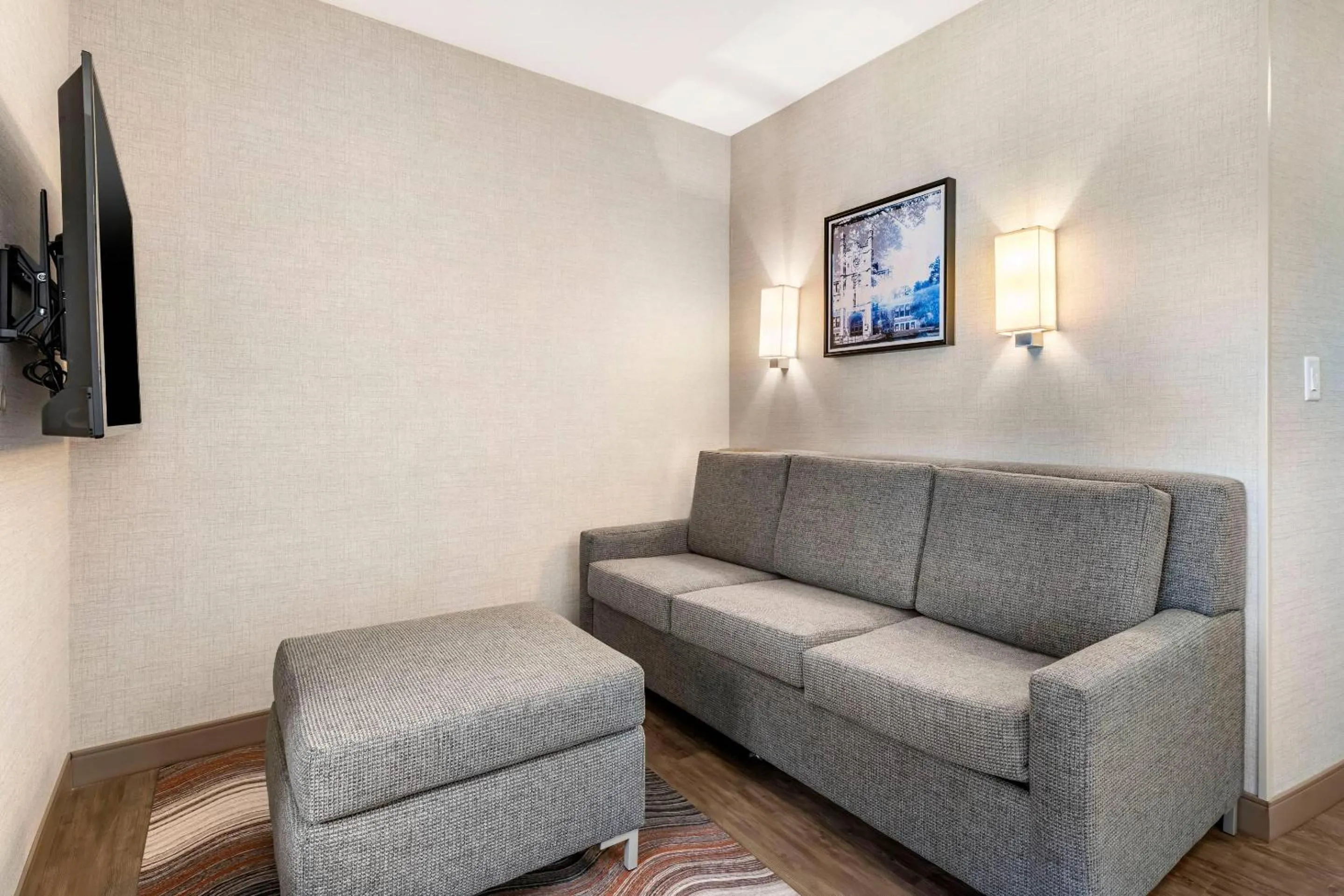 King Suite with Sofa Bed - Non-Smoking in Cambria Hotel Madison East