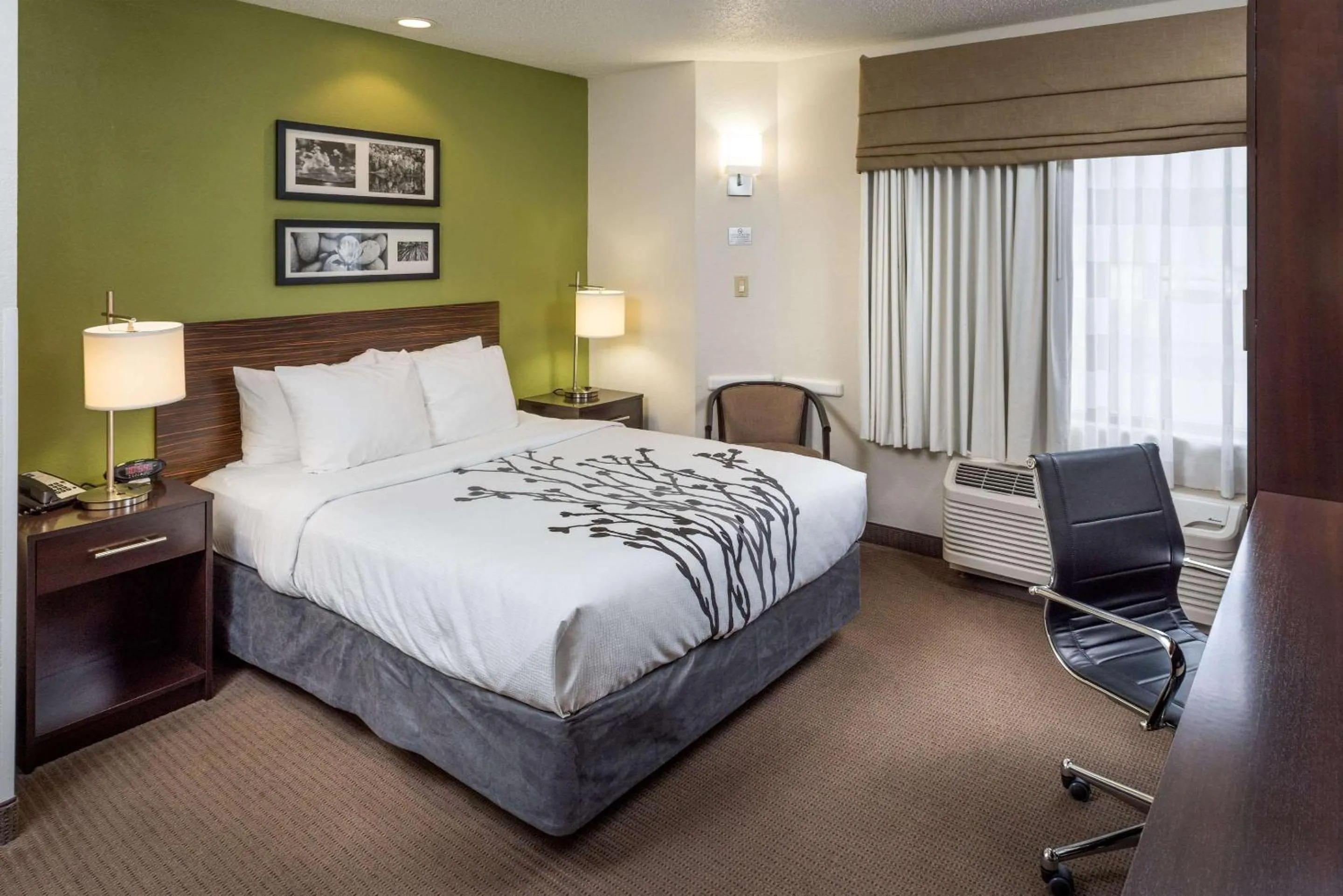 Queen Room - Non-Smoking in Sleep Inn & Suites Cross Lanes - South Charleston