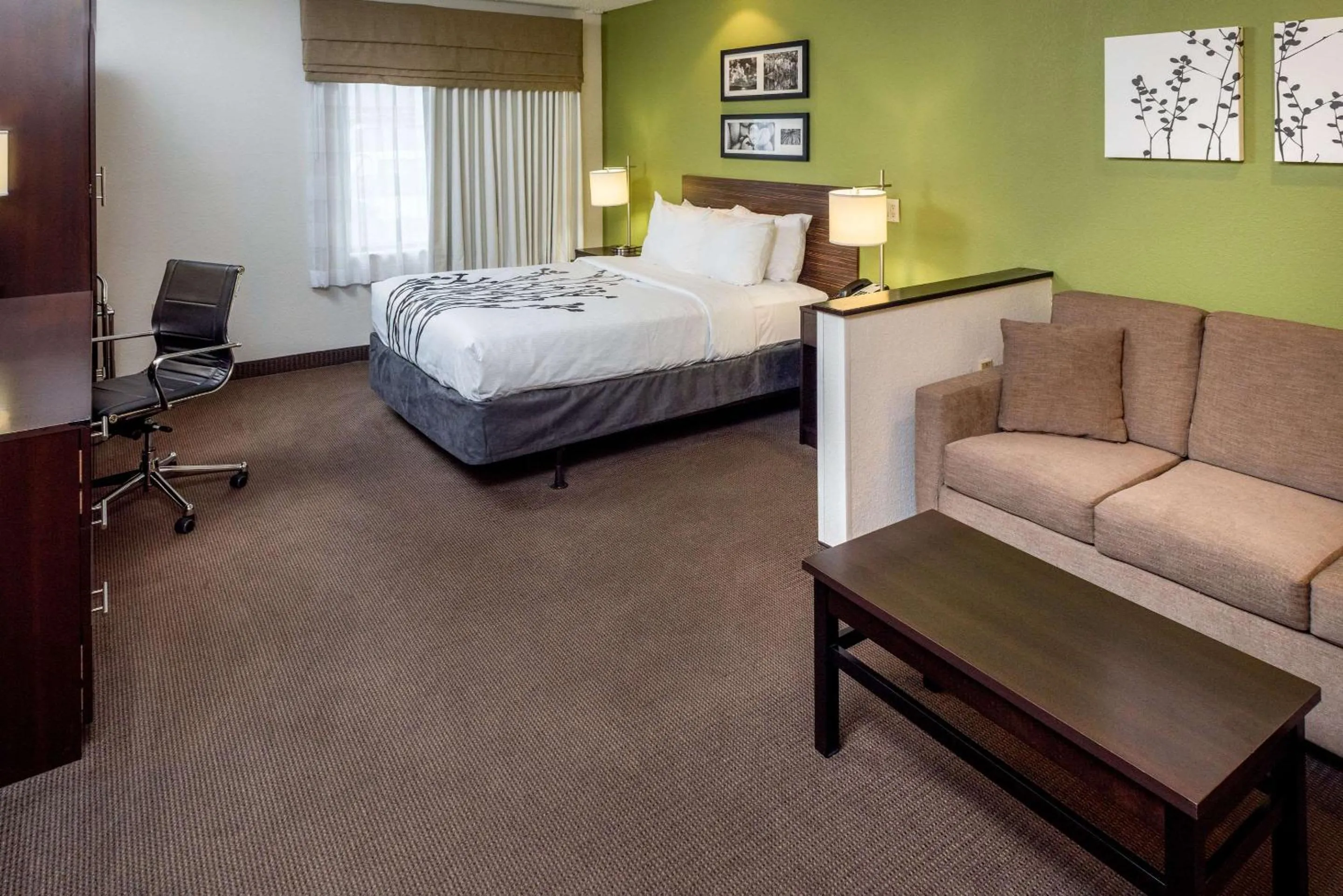 Queen Suite - Accessible/Non-Smoking in Sleep Inn & Suites Cross Lanes - South Charleston