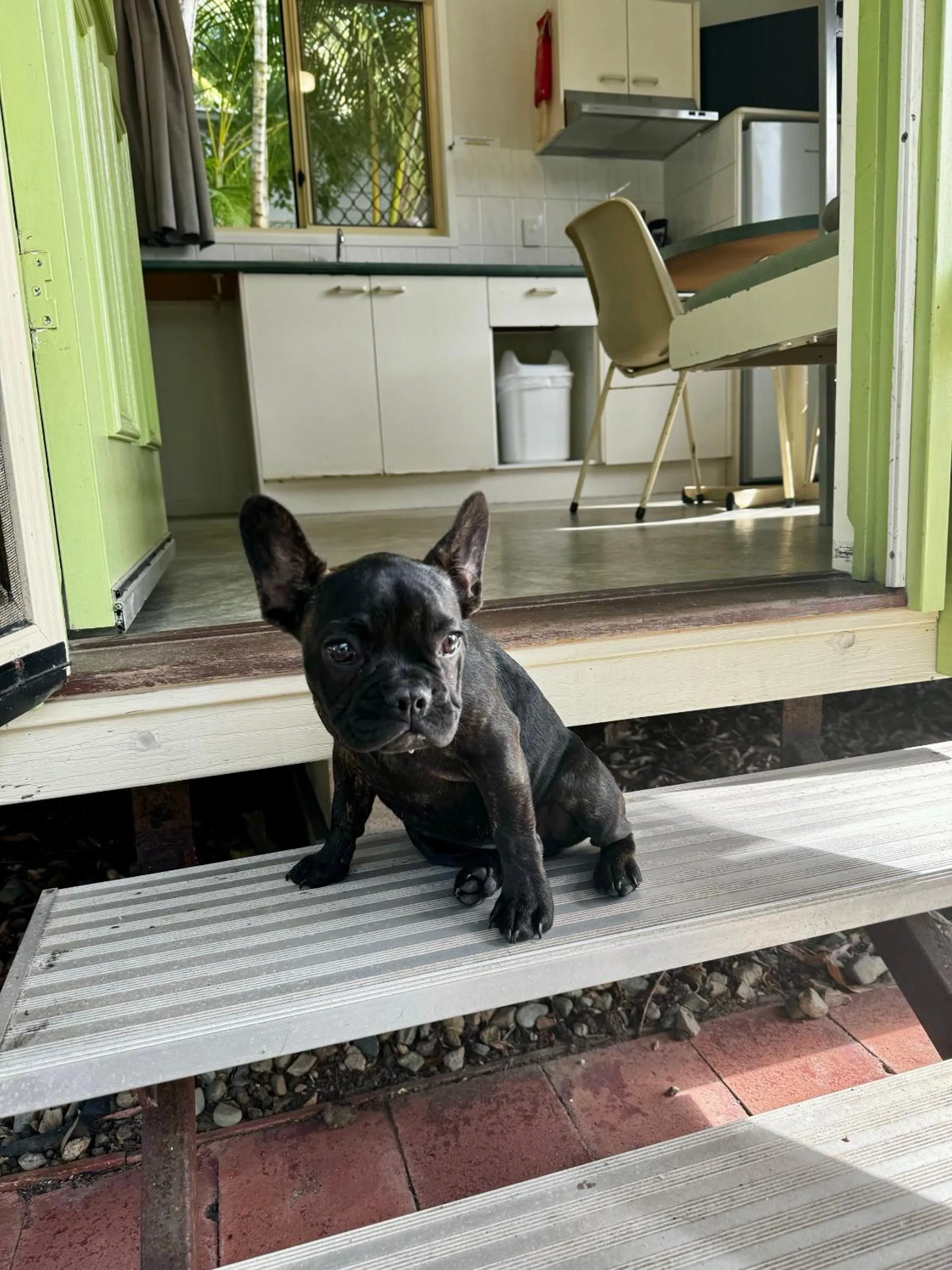 Bungalow in Kipara Tropical Rainforest Retreat