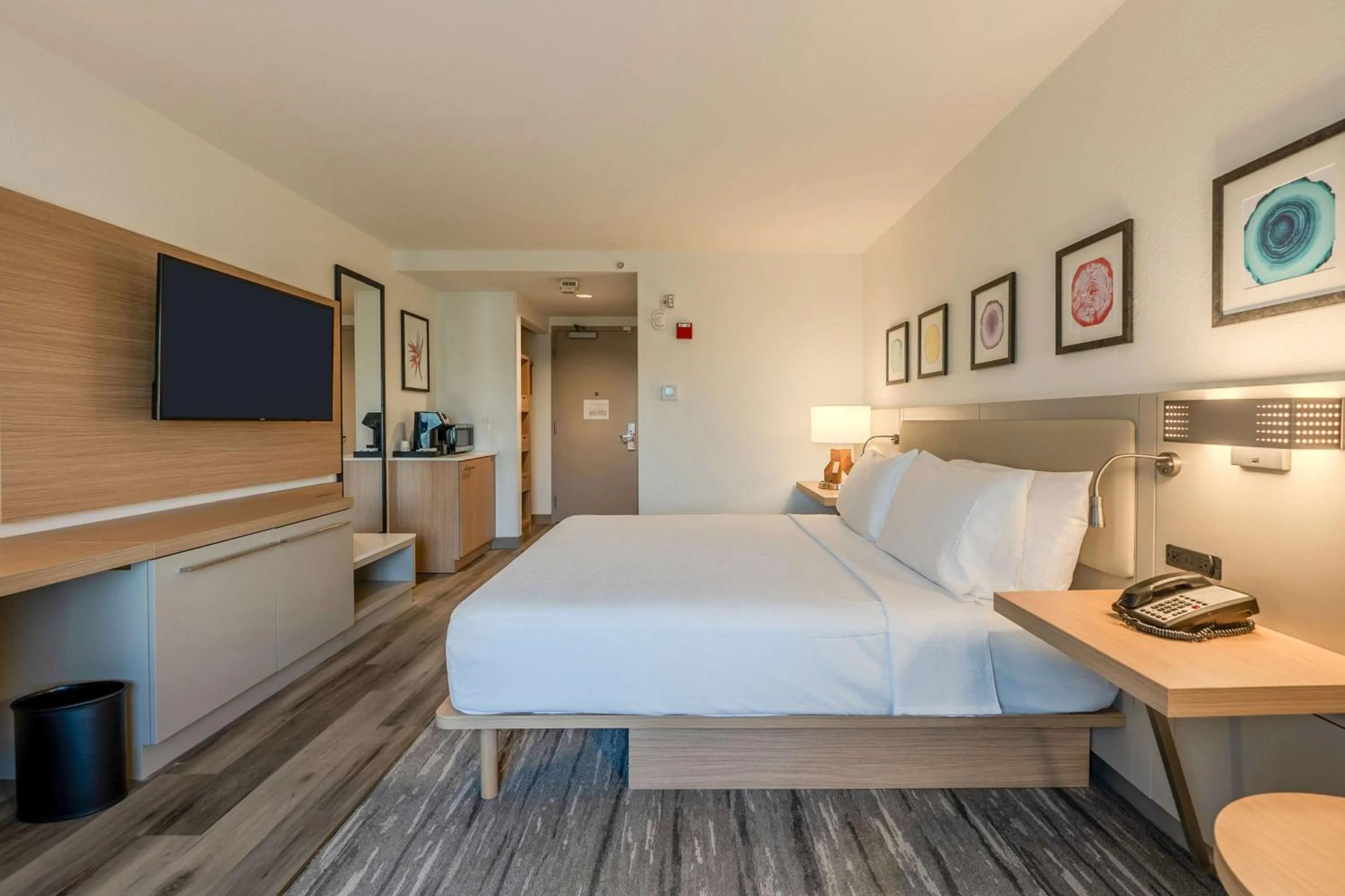 King Room with Sofa Bed - Non-Smoking in Hilton Garden Inn Ft. Lauderdale Airport-Cruise Port