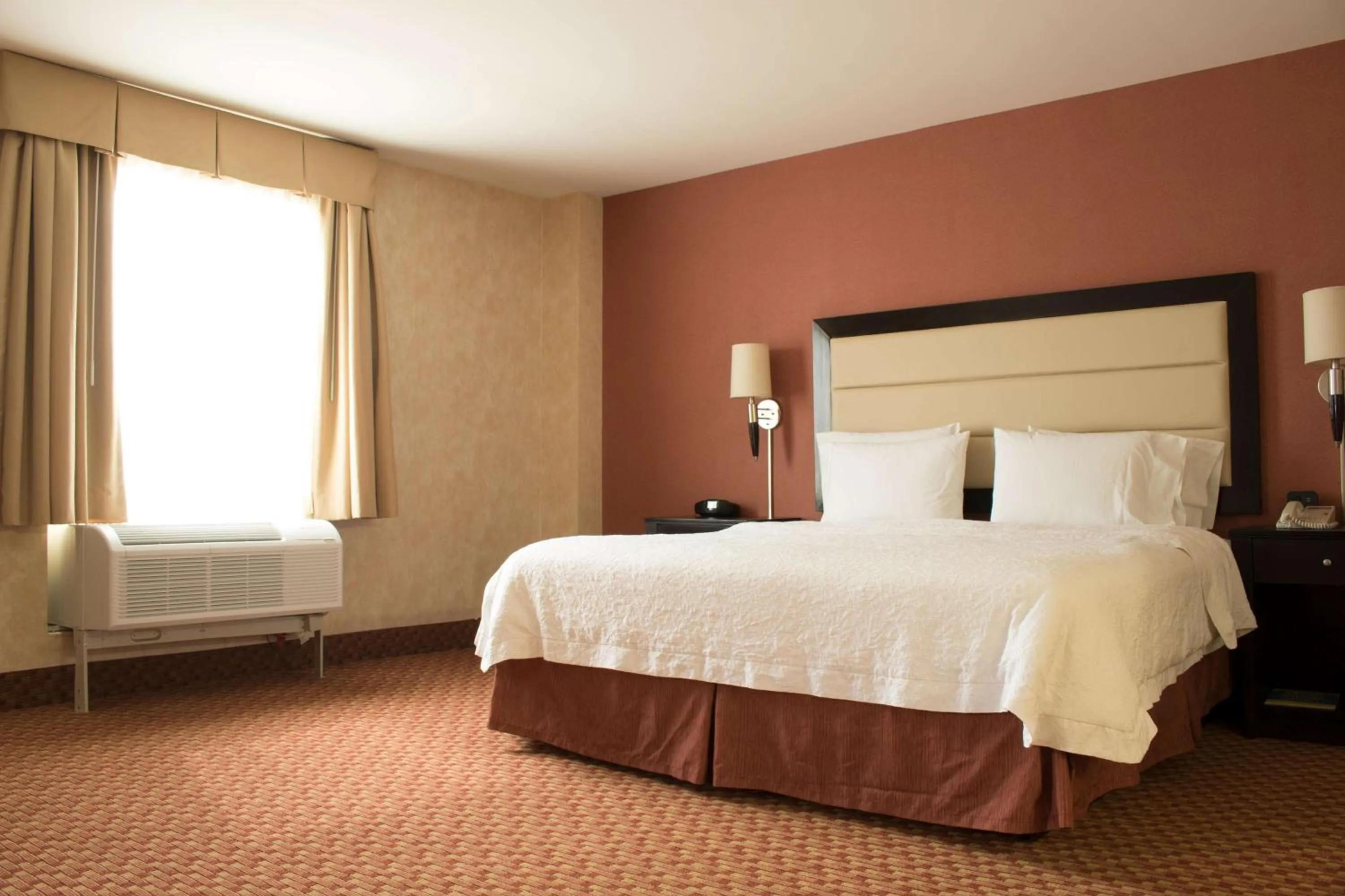 King Studio Suite with Sofa Bed - Non-Smoking in Hampton Inn by Hilton Ciudad Victoria