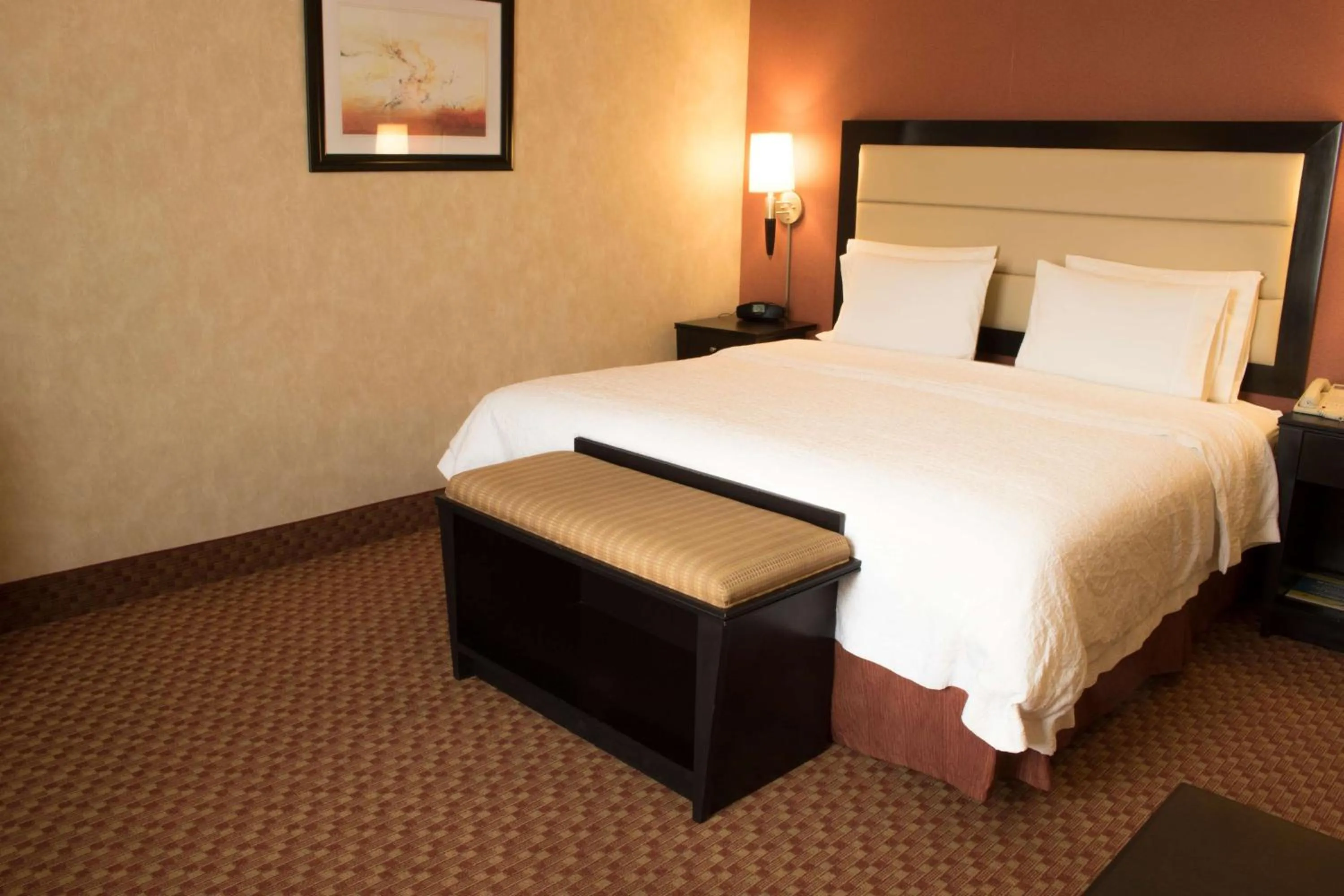 King Room with King Bed - Non-Smoking in Hampton Inn by Hilton Ciudad Victoria