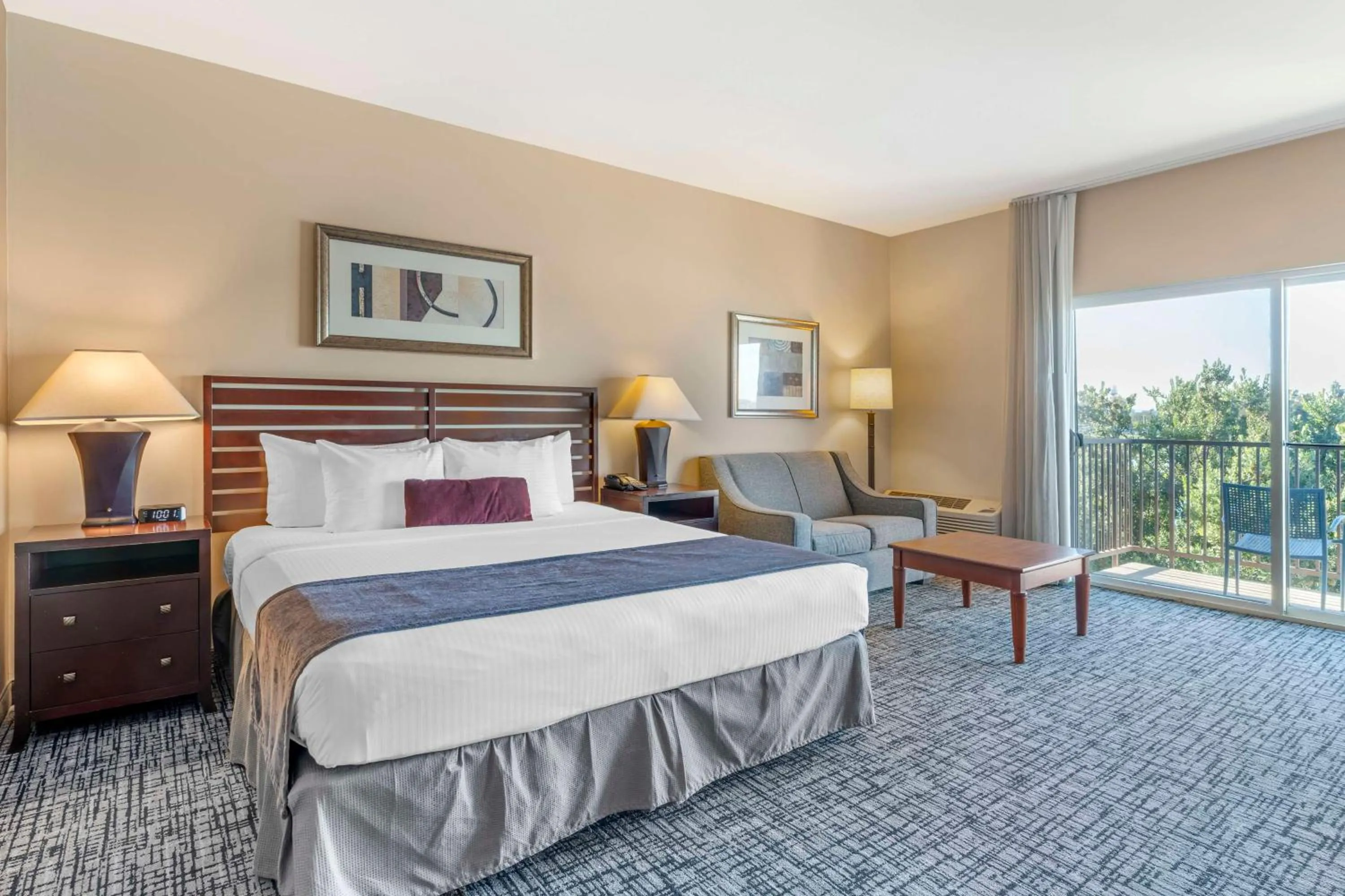 King Room - Disability Access in Best Western Plus Bayside Hotel