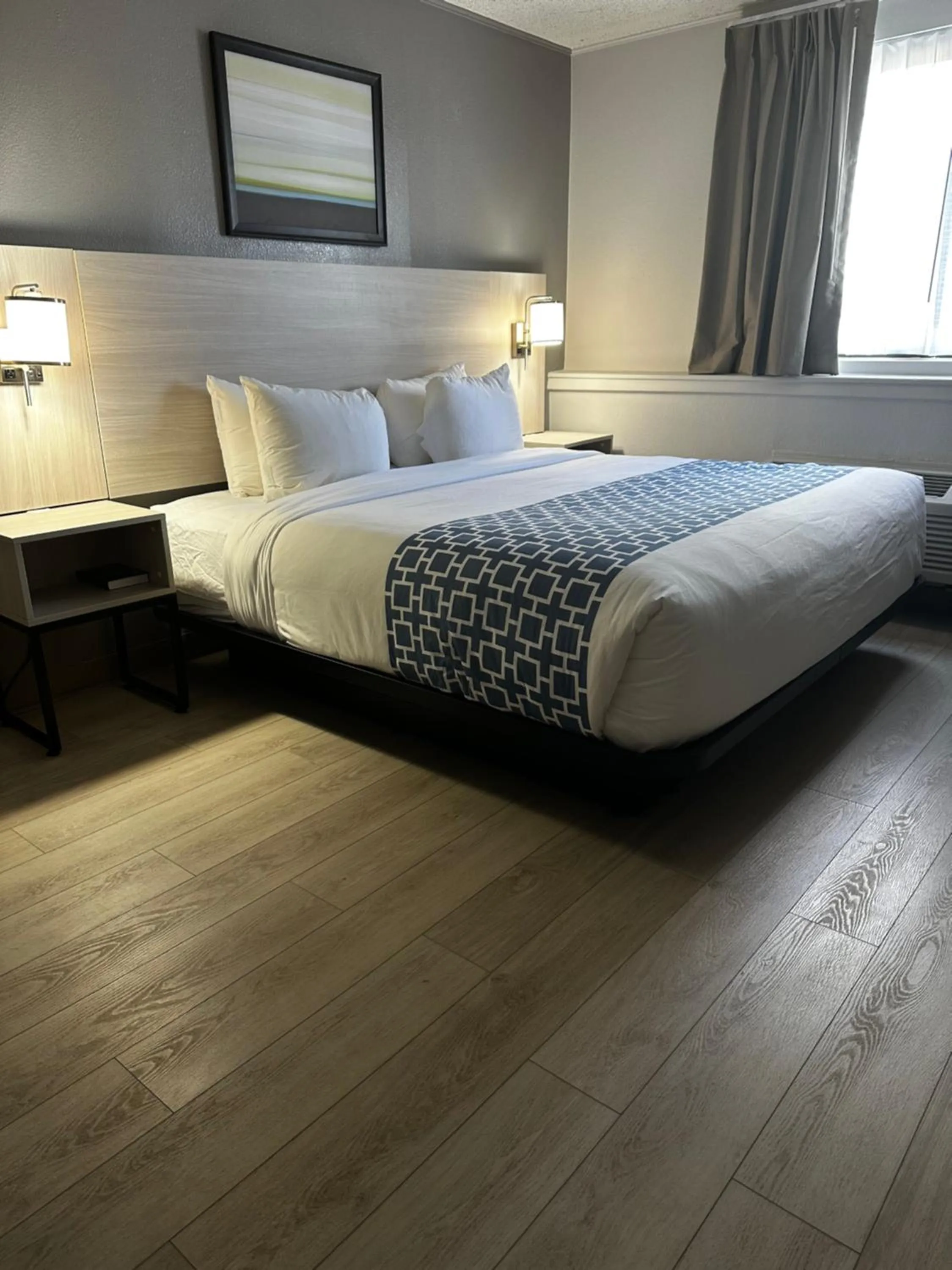 One Room Suite - Disability Access/Non Smoking in Suburban Studios, Kearney