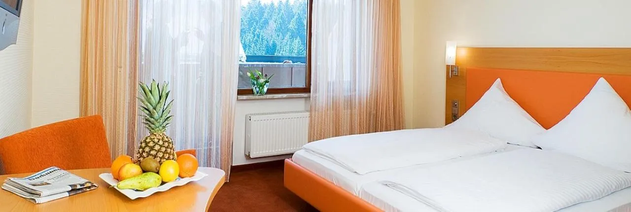 Standard Double Room - single occupancy in Gasthof Birkenhof