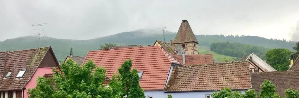 Apartment with Mountain View in AUX DEUX CIGOGNES AMMERSCHWIHR