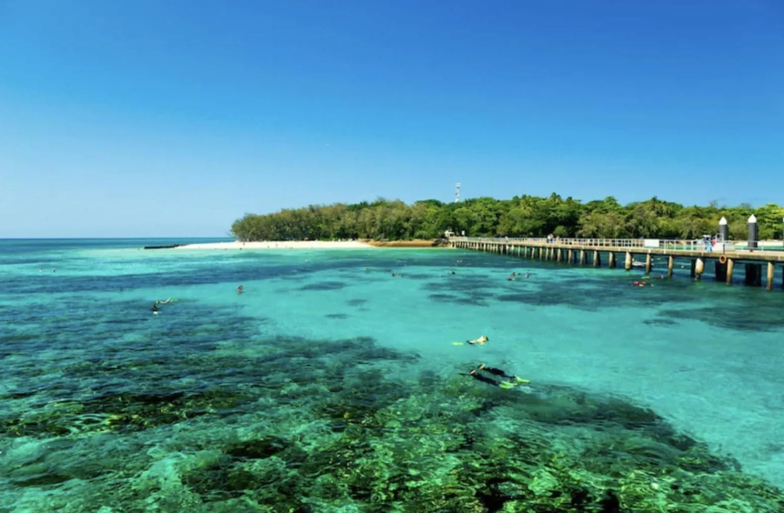 Premium King Room with shared bathroom in Little Drifter Cairns