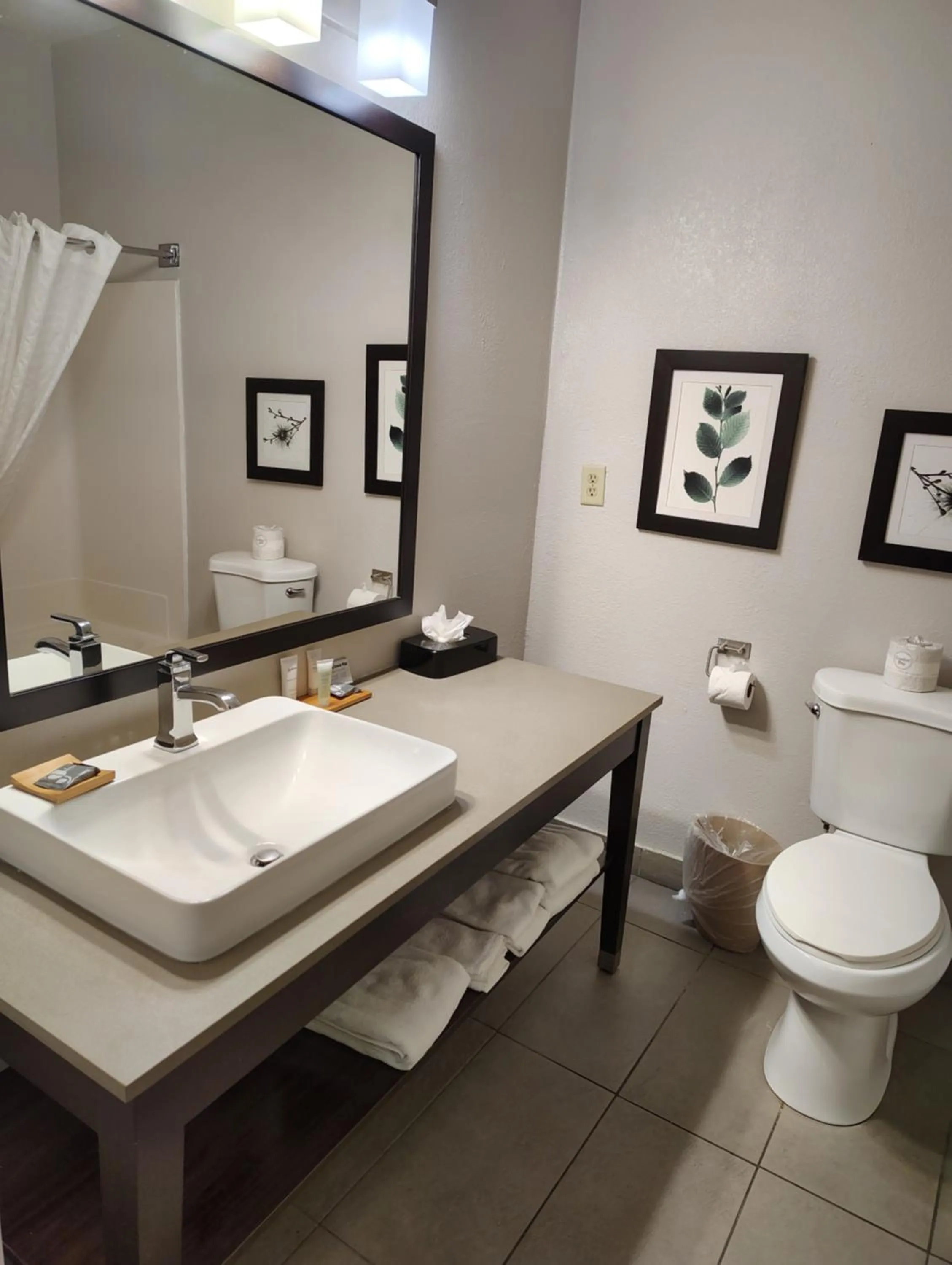 One-Bedroom King Suite with Sofa Bed in Country Inn & Suites by Radisson, Indianapolis South, IN