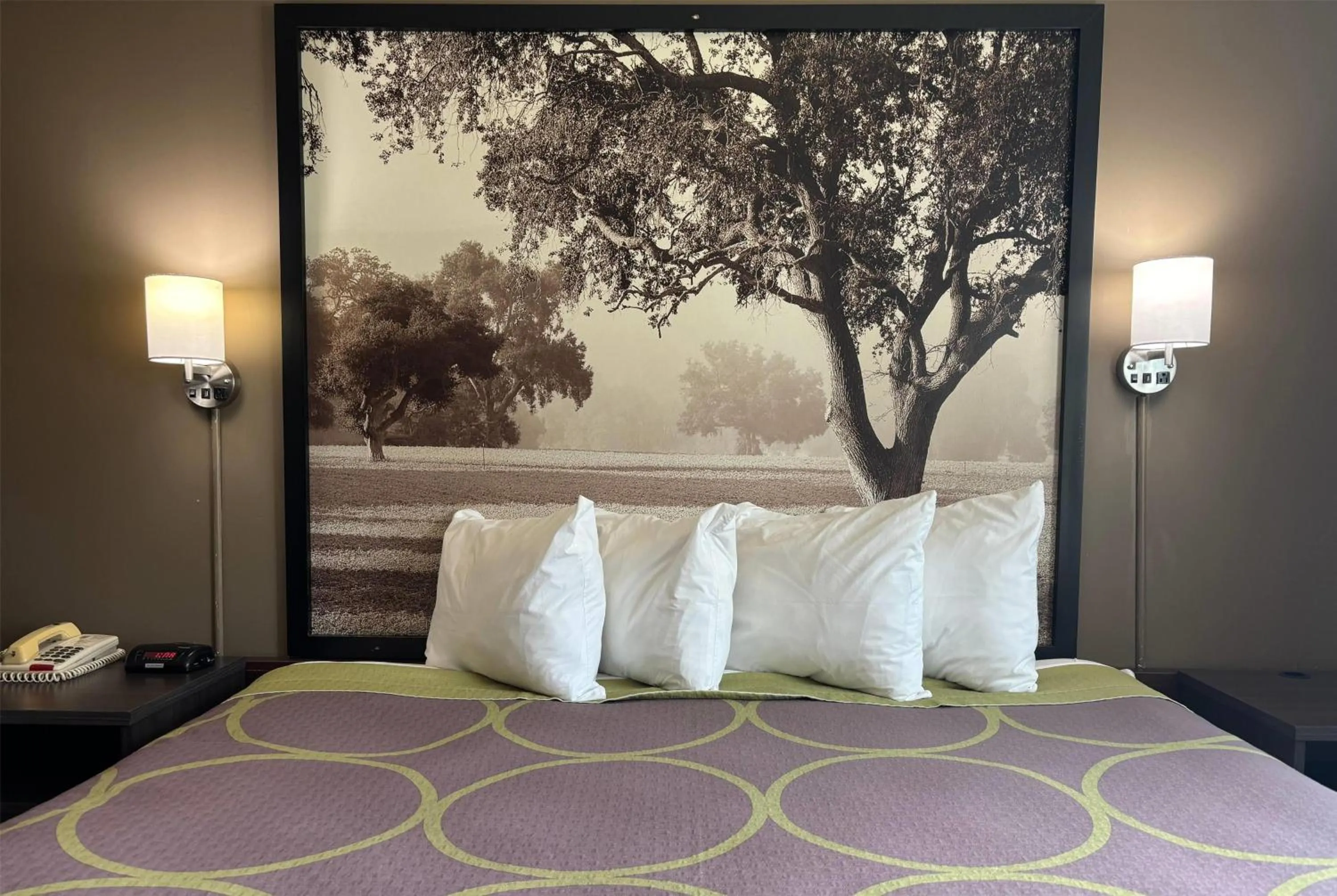 Standard Double Room in Super 8 by Wyndham Grayville