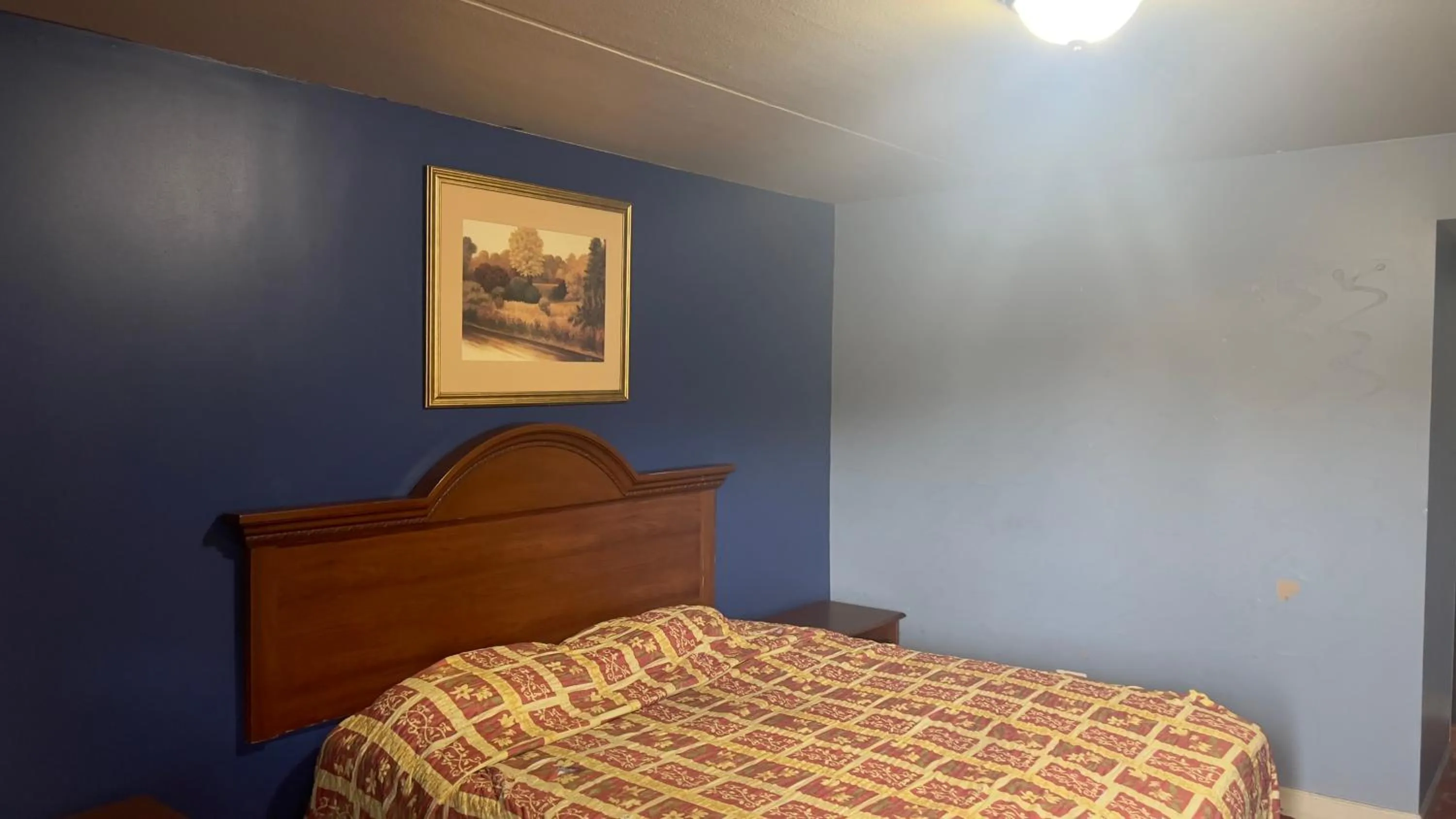 King Bed Smoking in Best Motel By OYO Chicago I-90