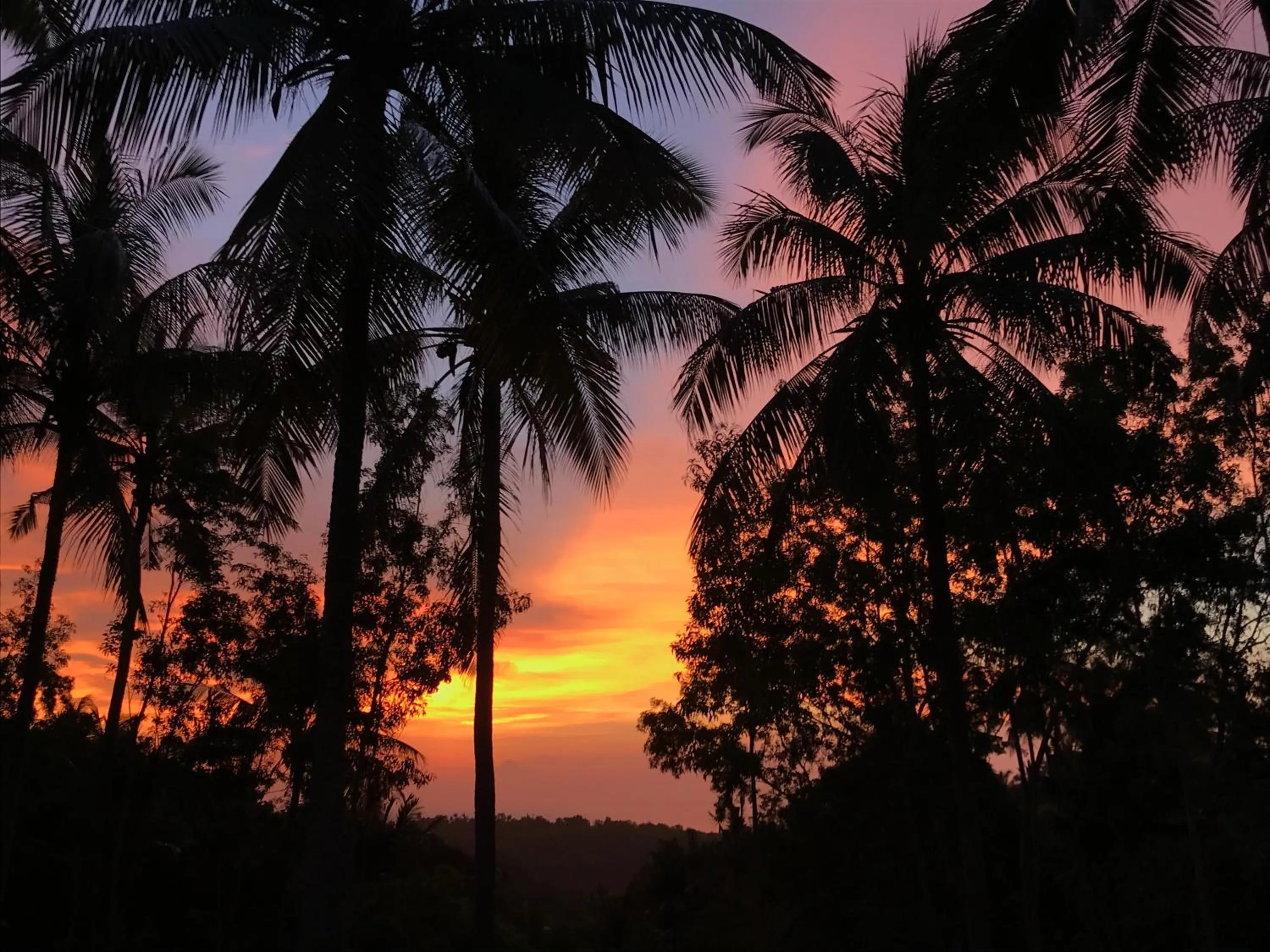 Deluxe Bungalow - single occupancy in Meket Bungalows