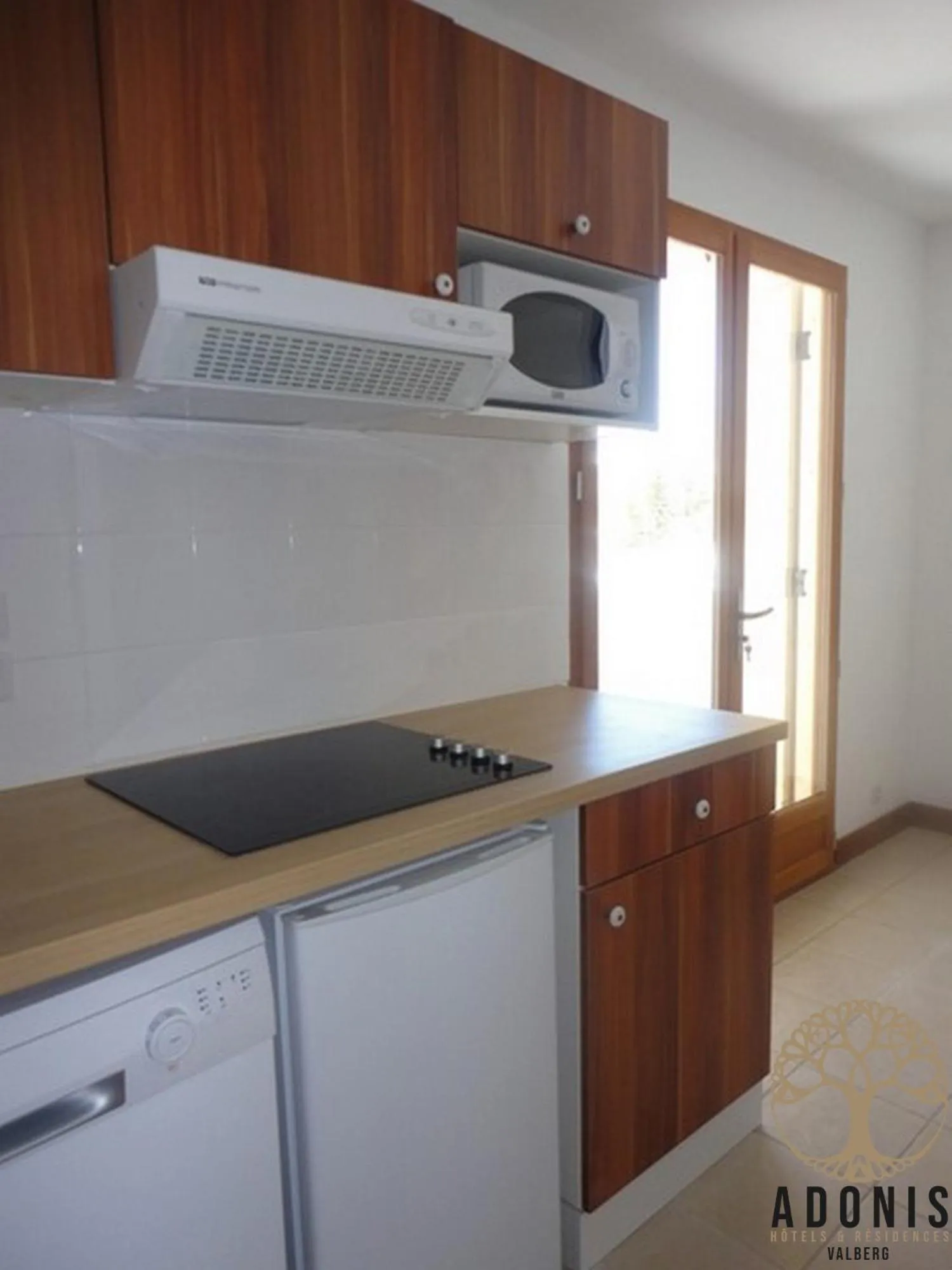 One-Bedroom Apartment in Adonis Valberg