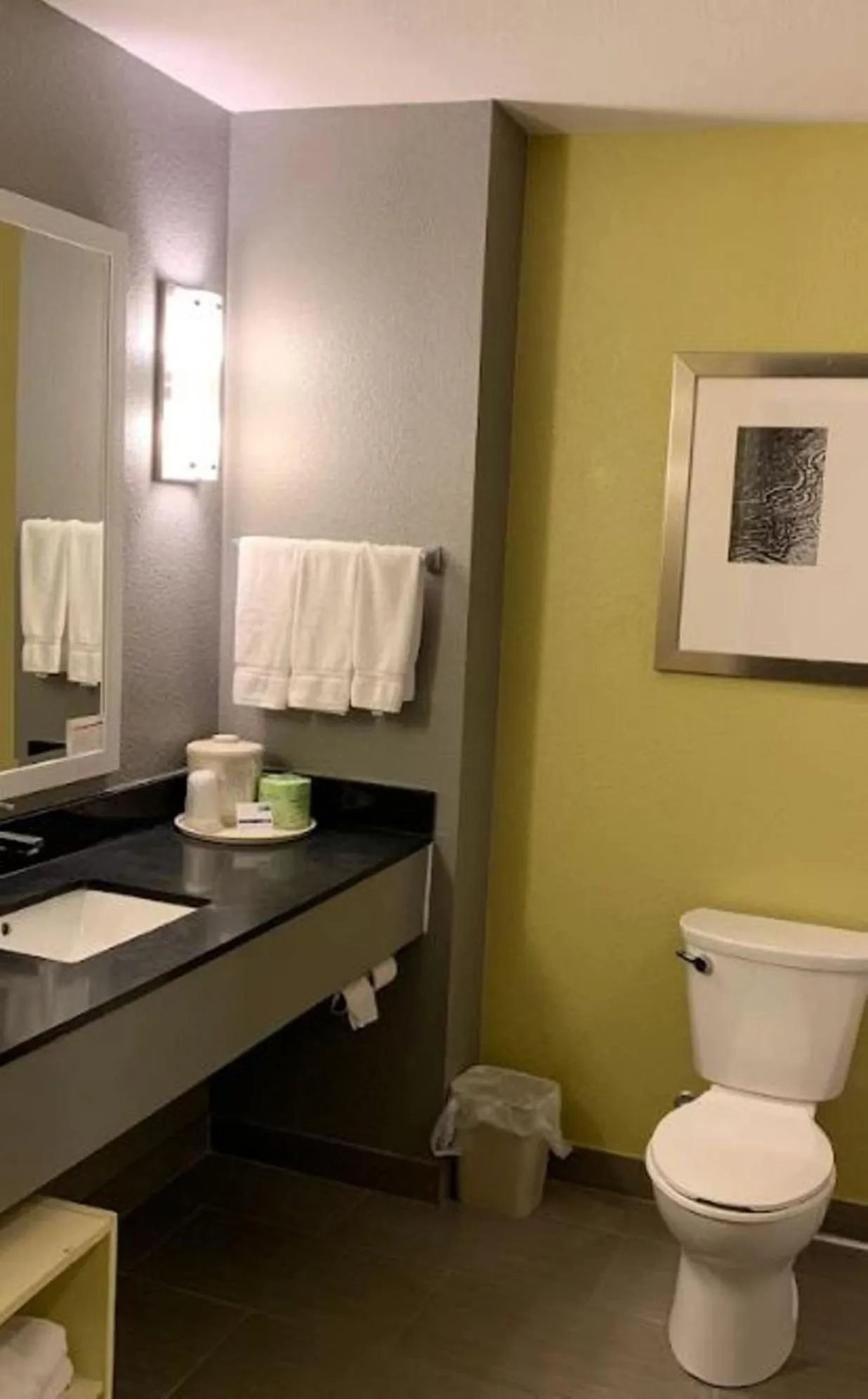 Suite with Two Queen Beds in Holiday Inn Express & Suites Carlisle - Harrisburg Area by IHG