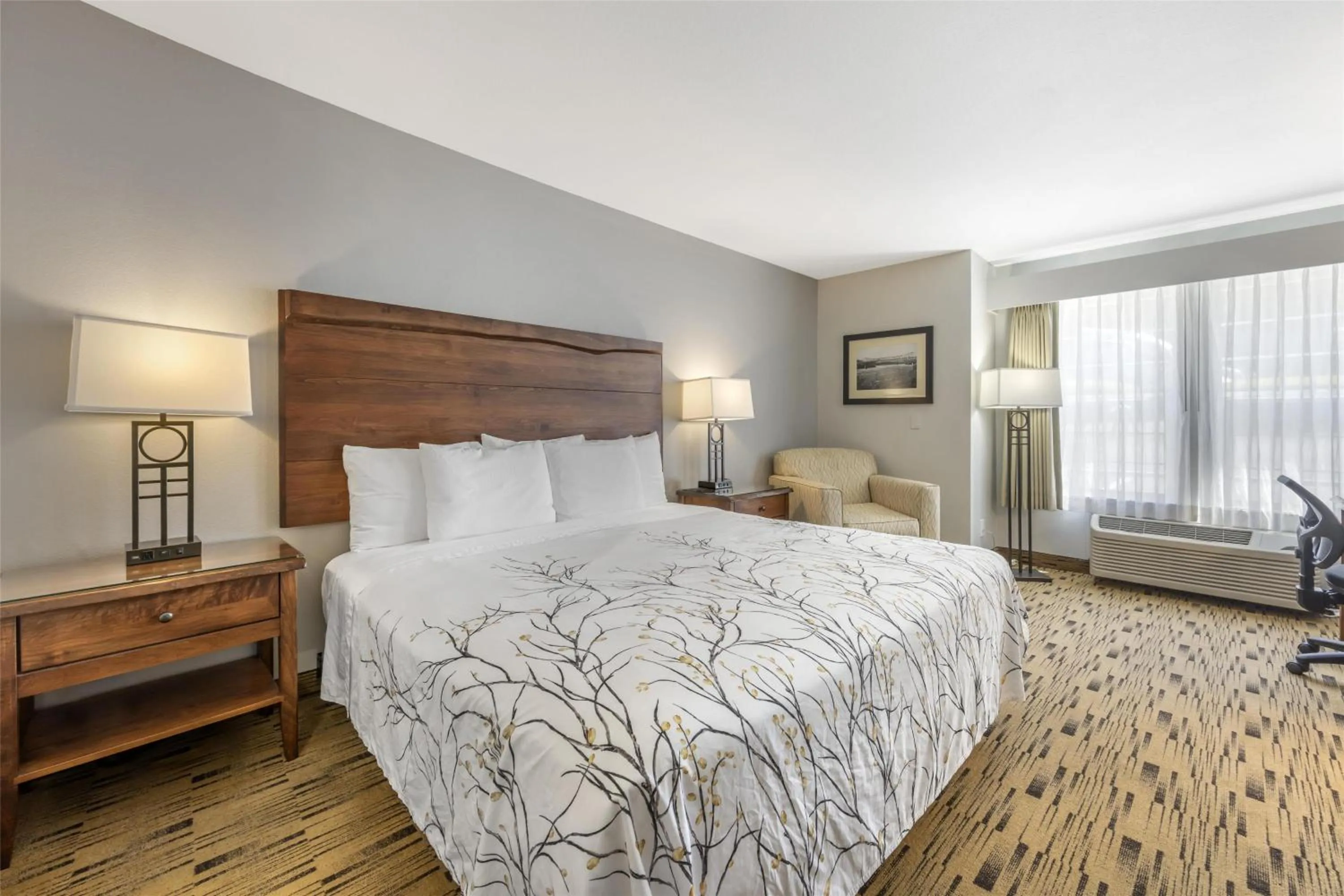 King Room with View - Communication Assistance in Best Western Plus Columbia River Inn