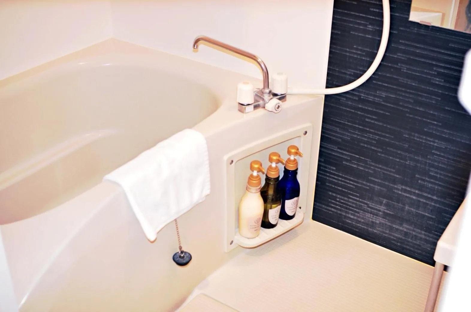 One-Bedroom Apartment in H2O Stay Ikebukuro