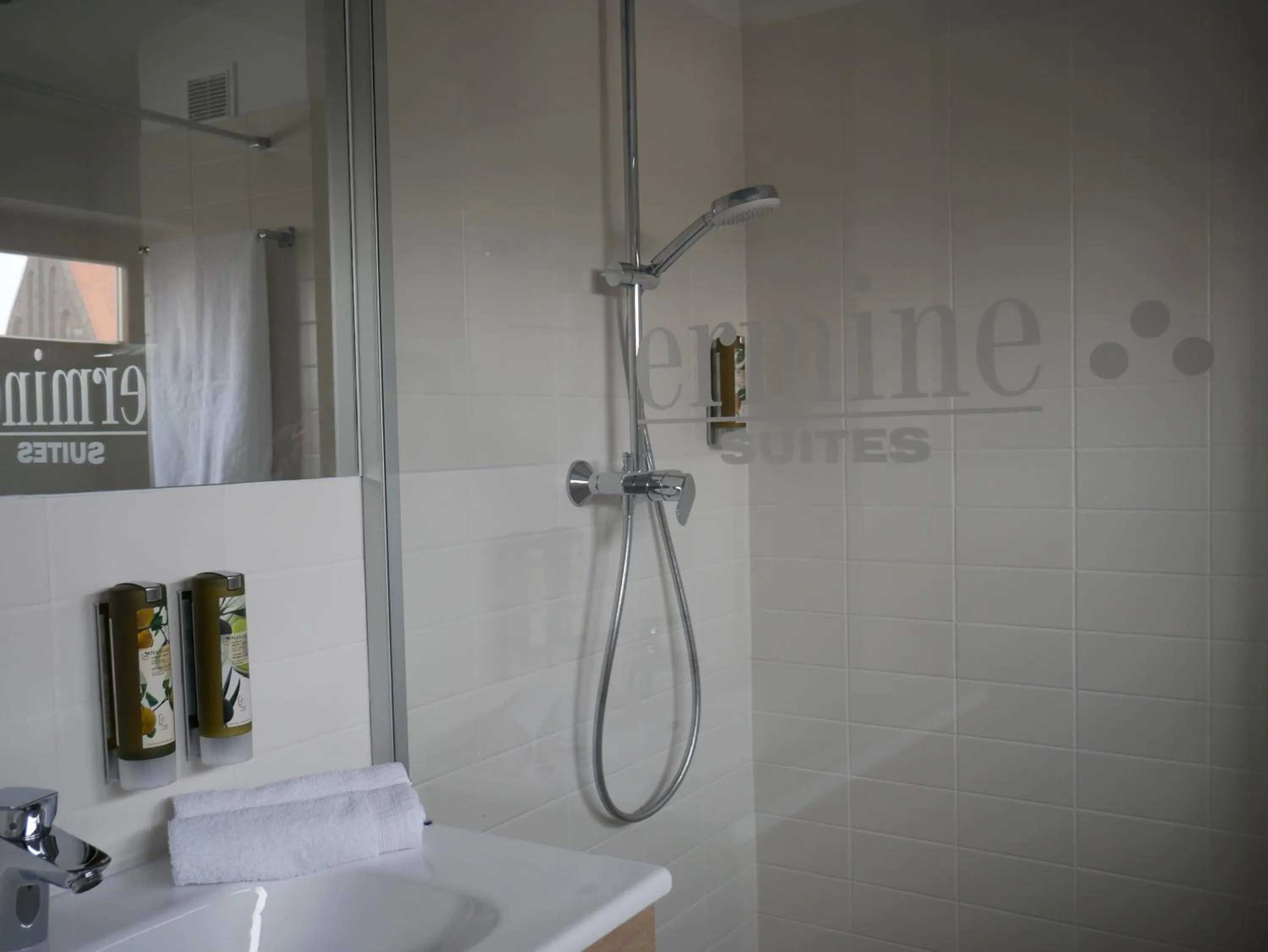 One-Bedroom Apartment in Ermine Suites