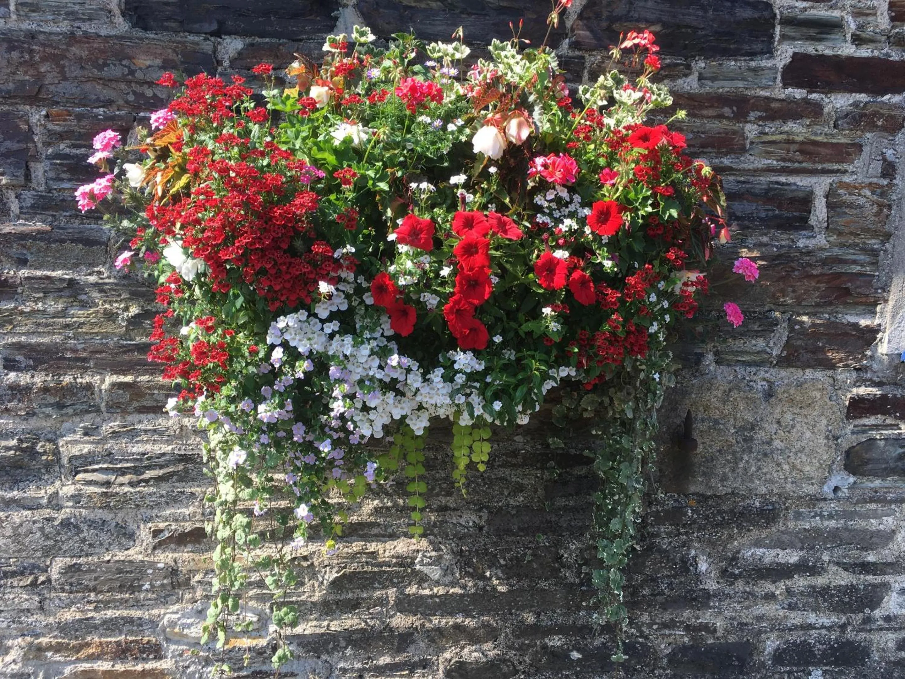 Double Room with Private Bathroom in Blue Lion Inn