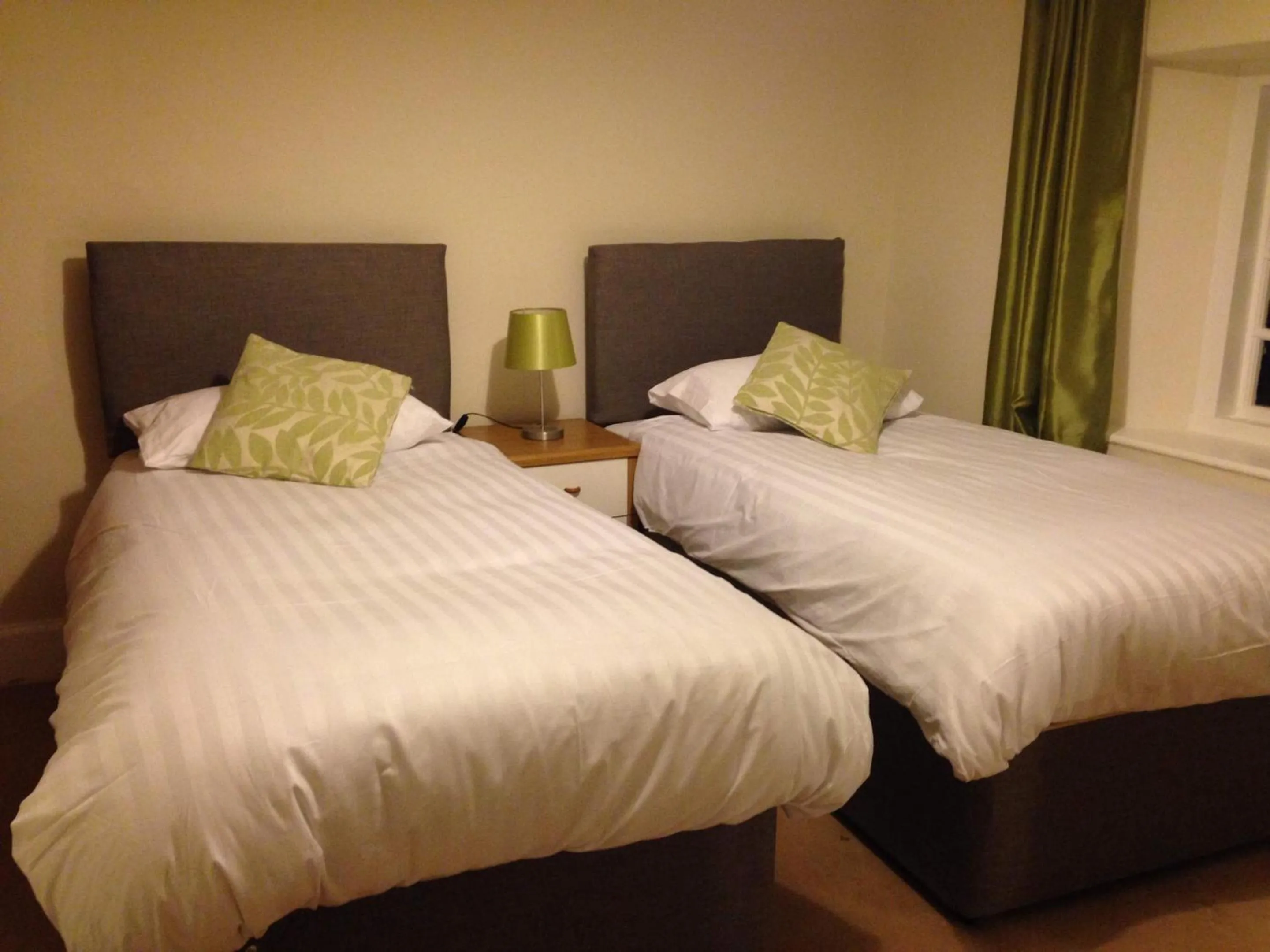 Twin Room with Shower - single occupancy in Blue Lion Inn