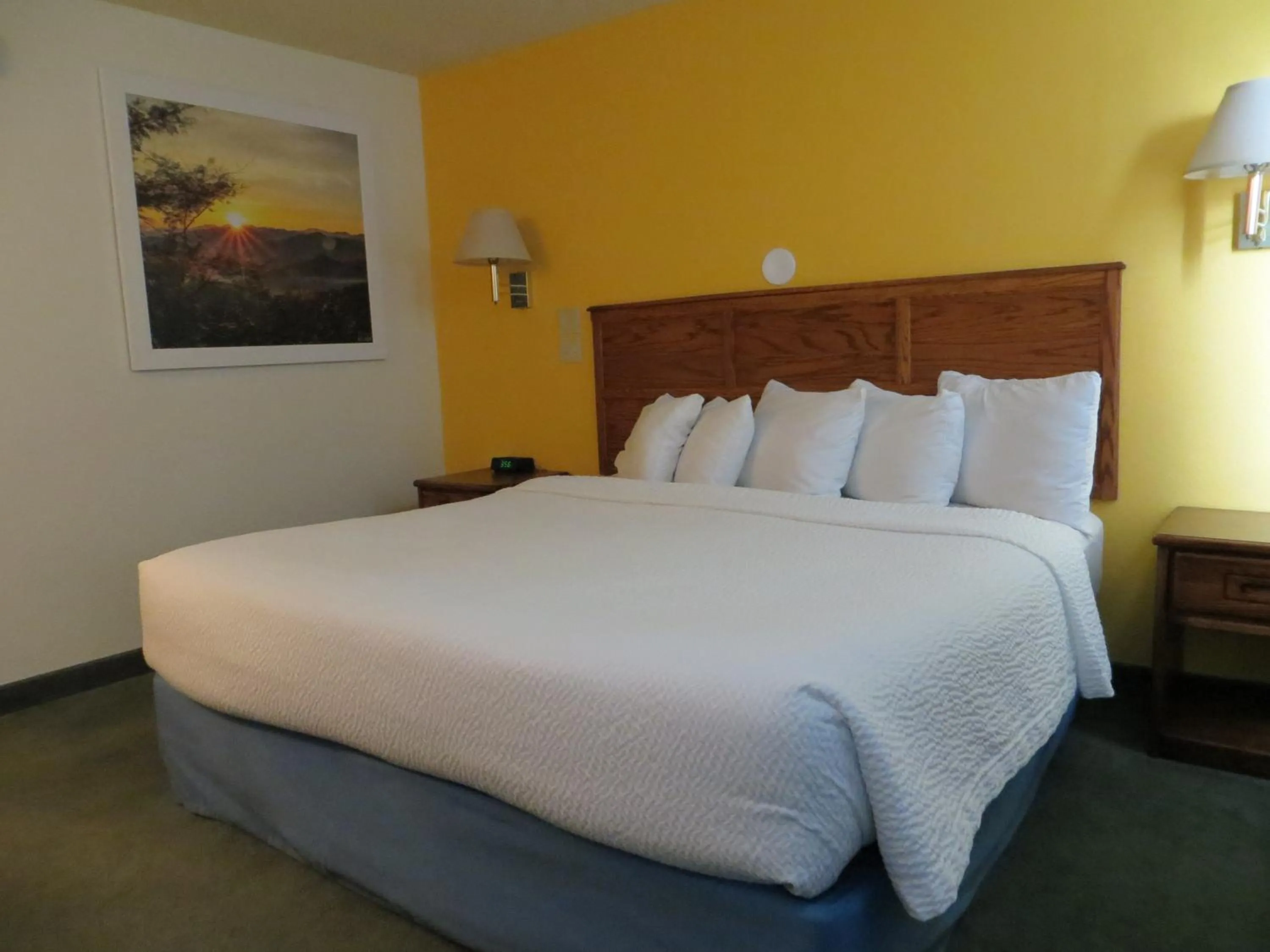 1 King Bed, Mobility/Hearing Accessible Room, Roll-In Shower in Days Inn by Wyndham Alamosa