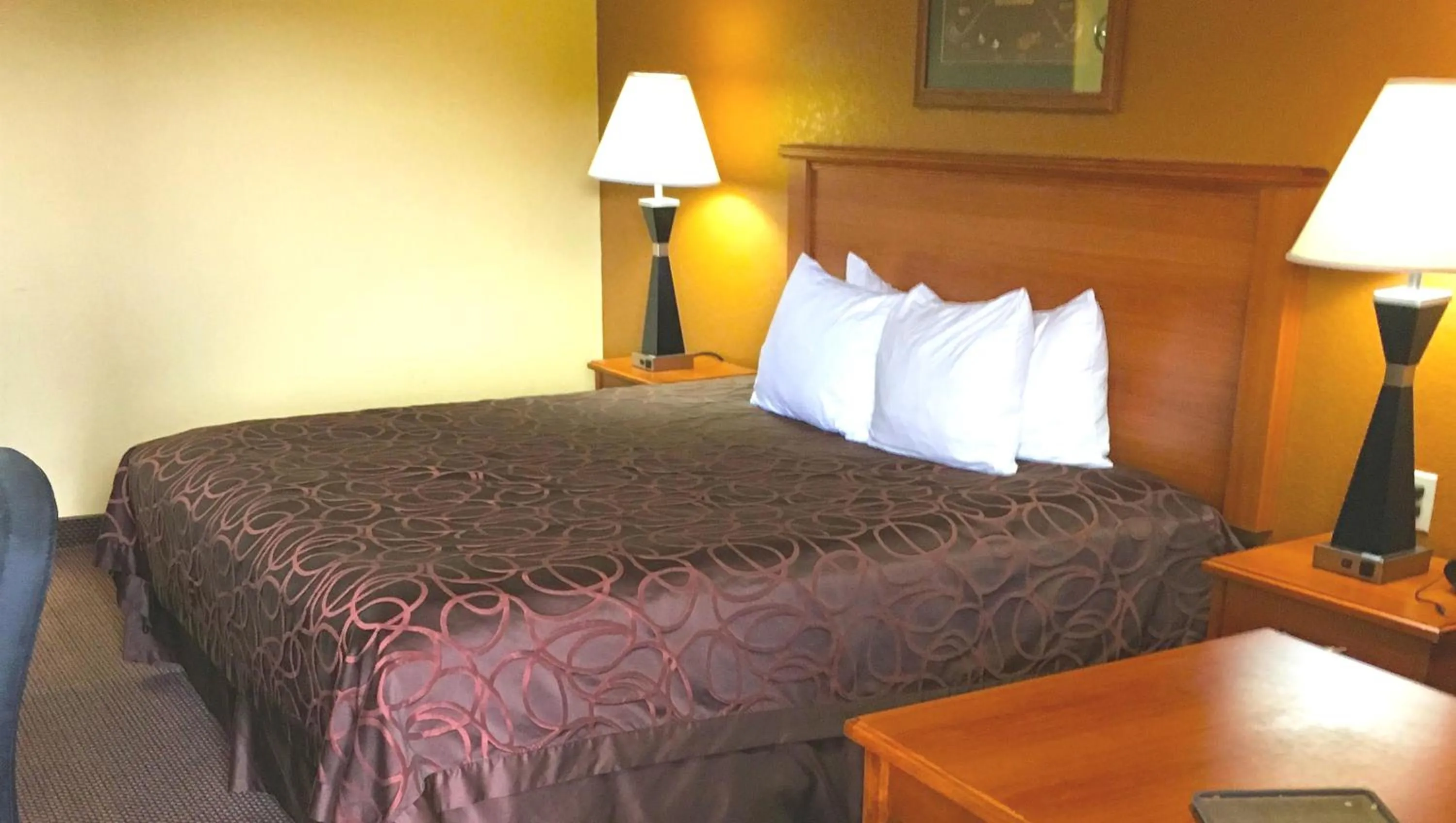 King Room - single occupancy - Smoking  in Xecutive Inn and Suites