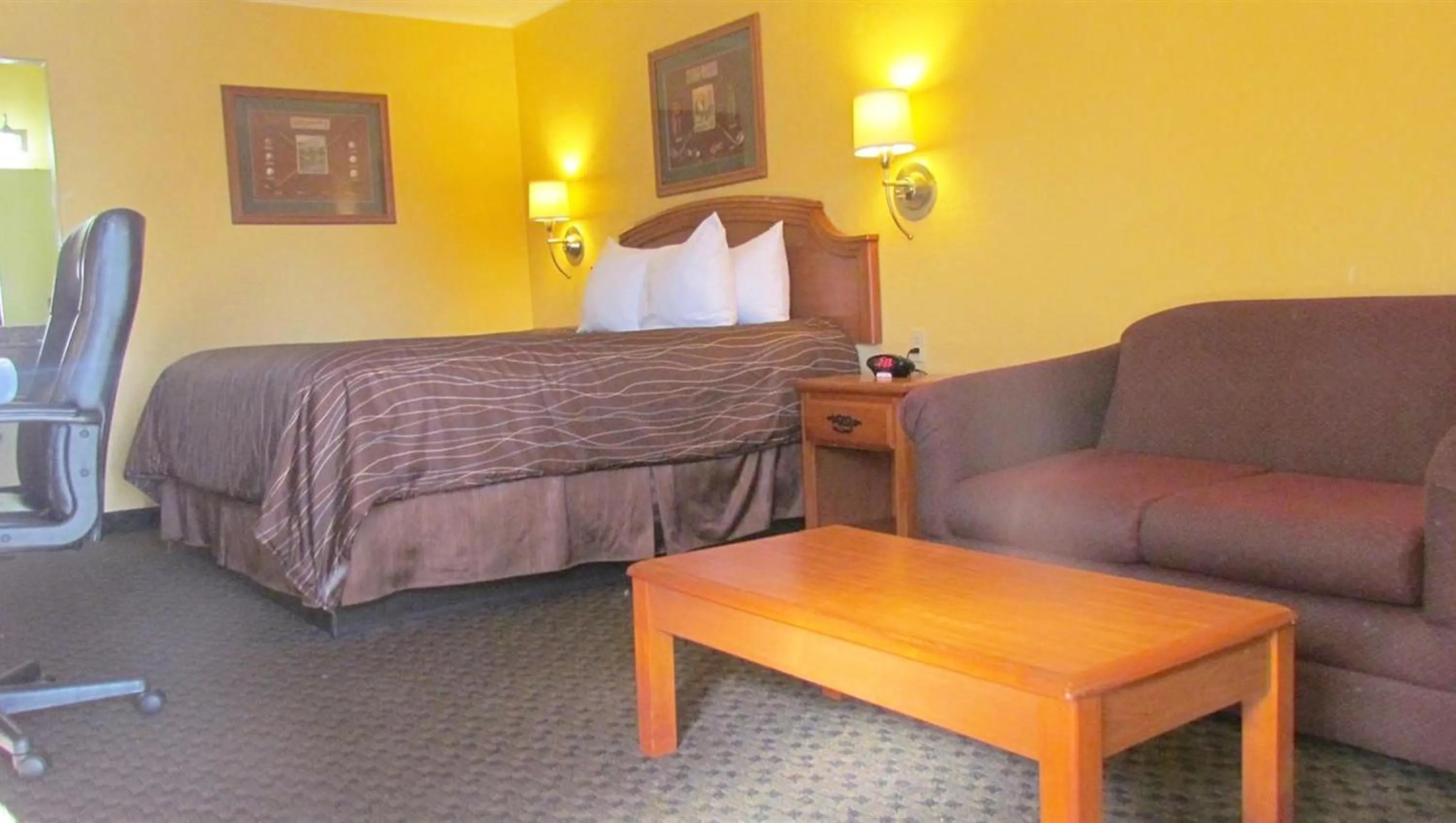 King Room - single occupancy - Non-Smoking in Xecutive Inn and Suites