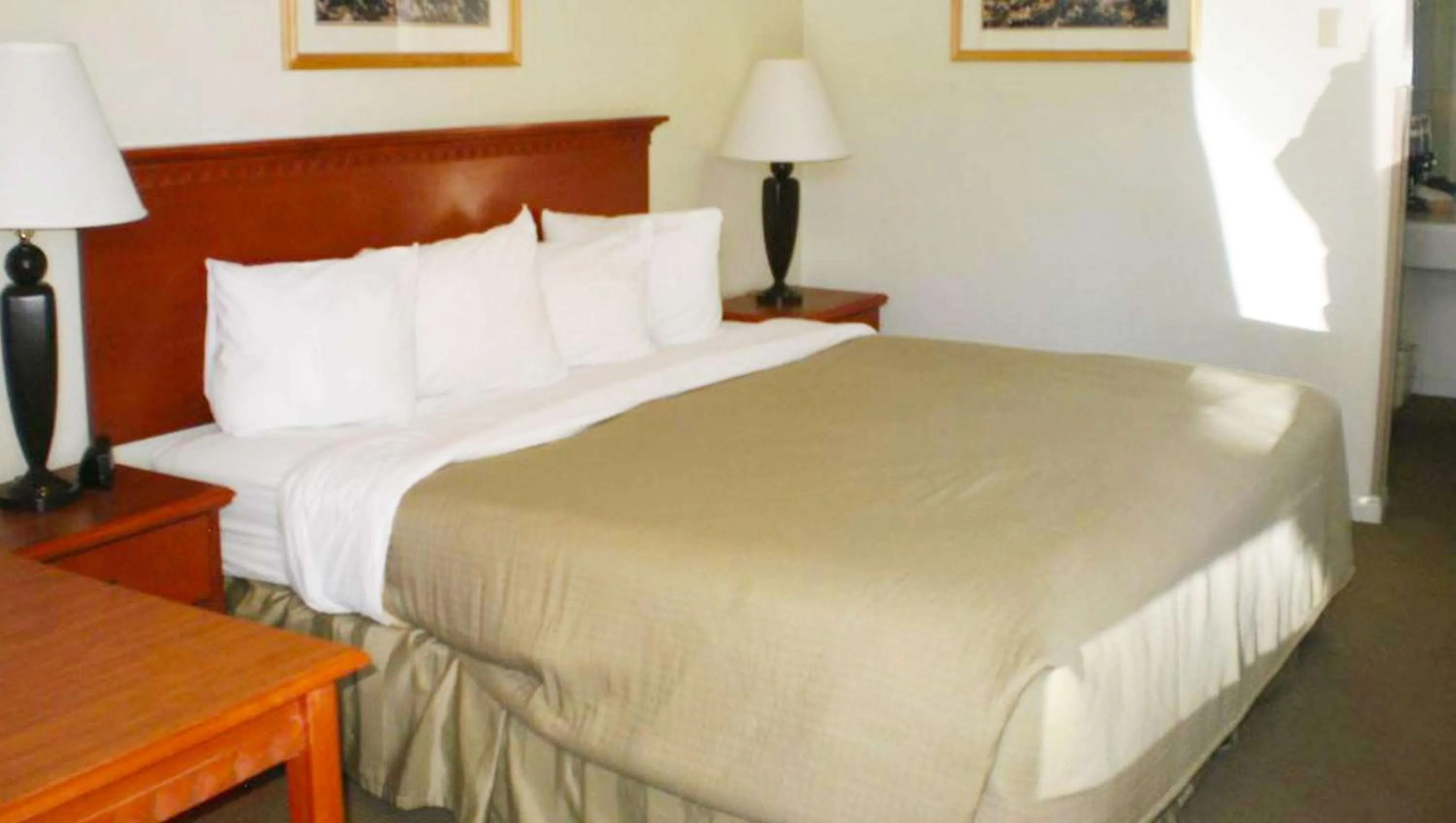 Queen Room - Non-Smoking in Magnuson Hotel Park Vue