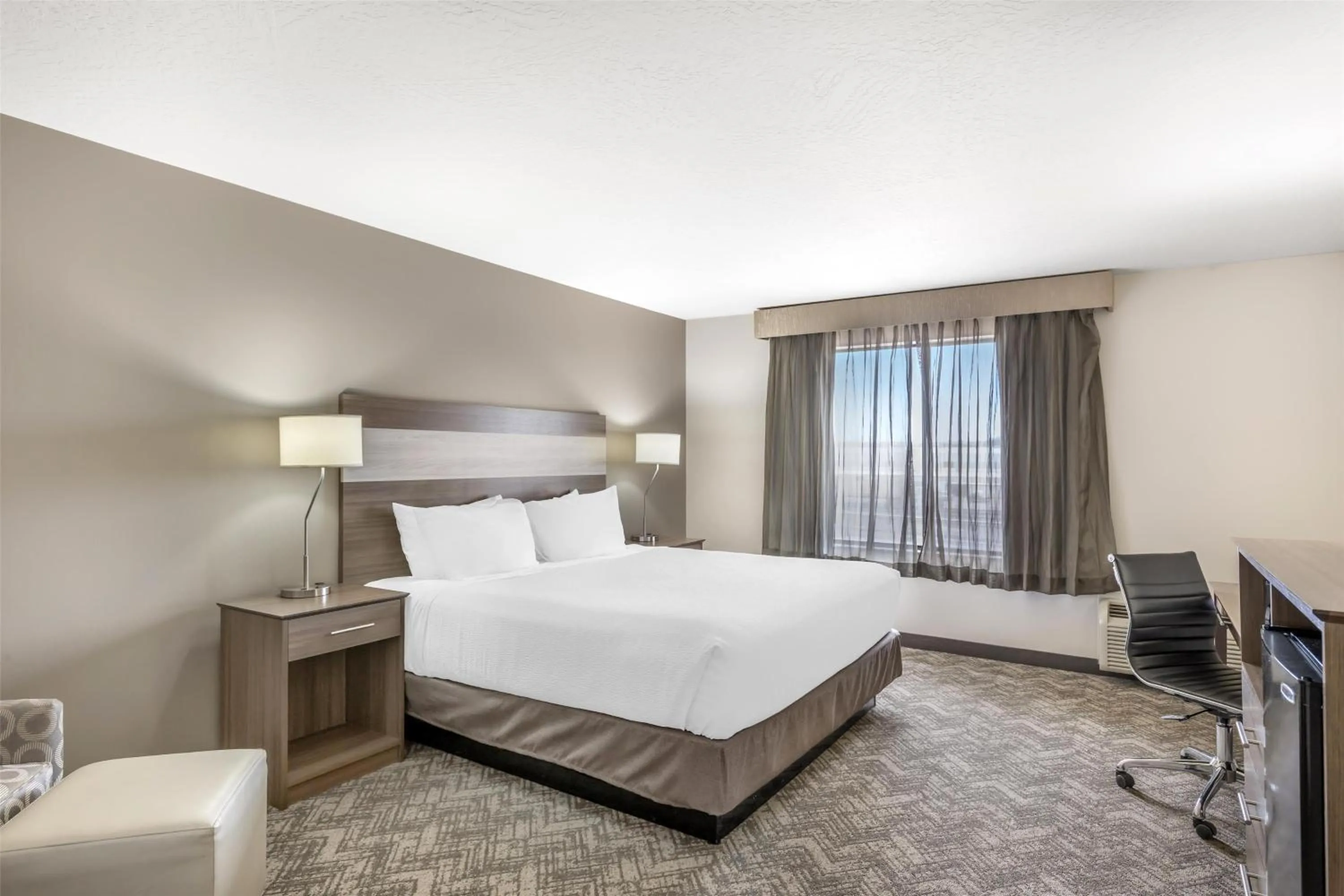 King Room - Pet Friendly in Best Western Plus Great Northern Inn