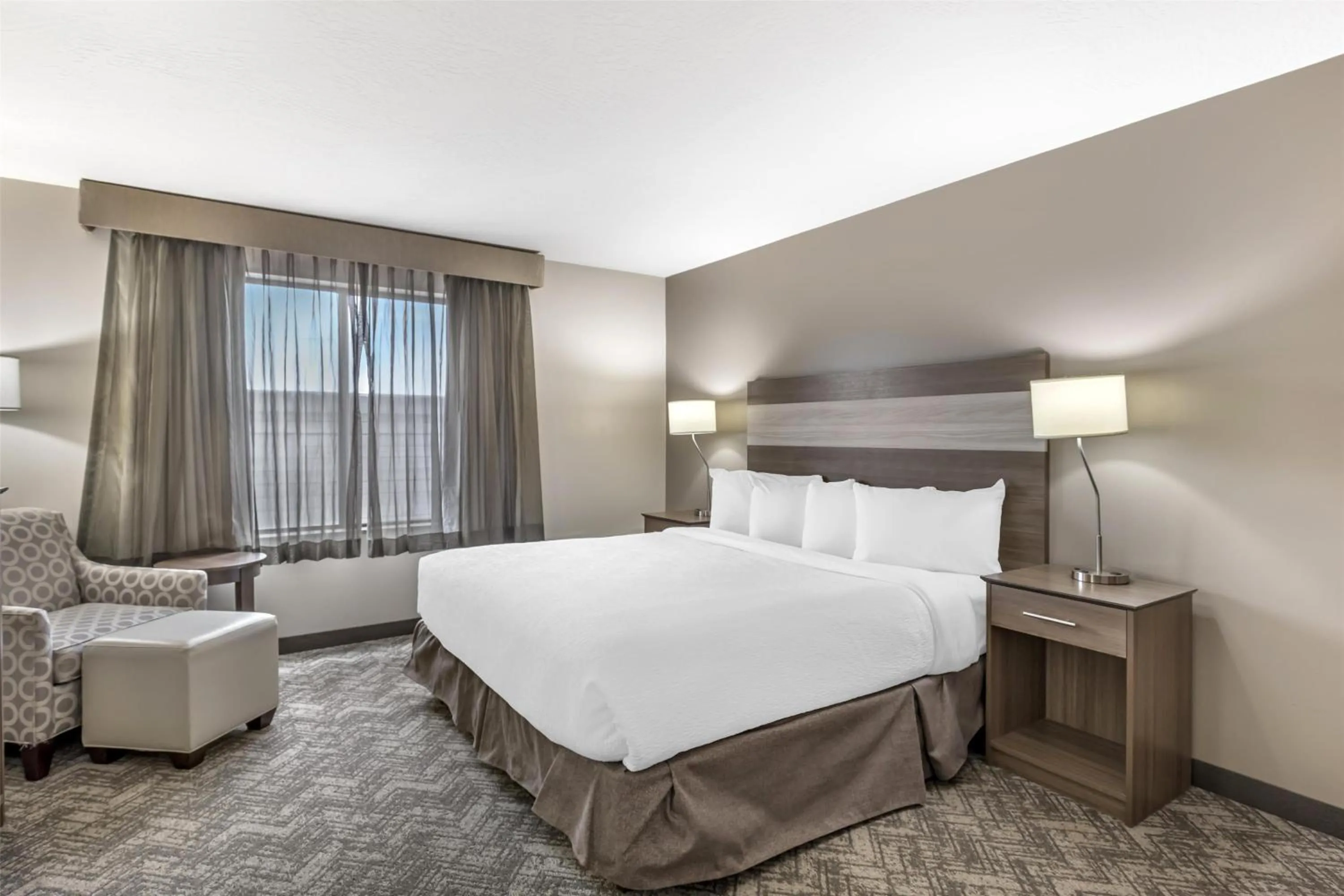 King Room with Roll-In Shower - Mobility Accessible/Pet Friendly in Best Western Plus Great Northern Inn