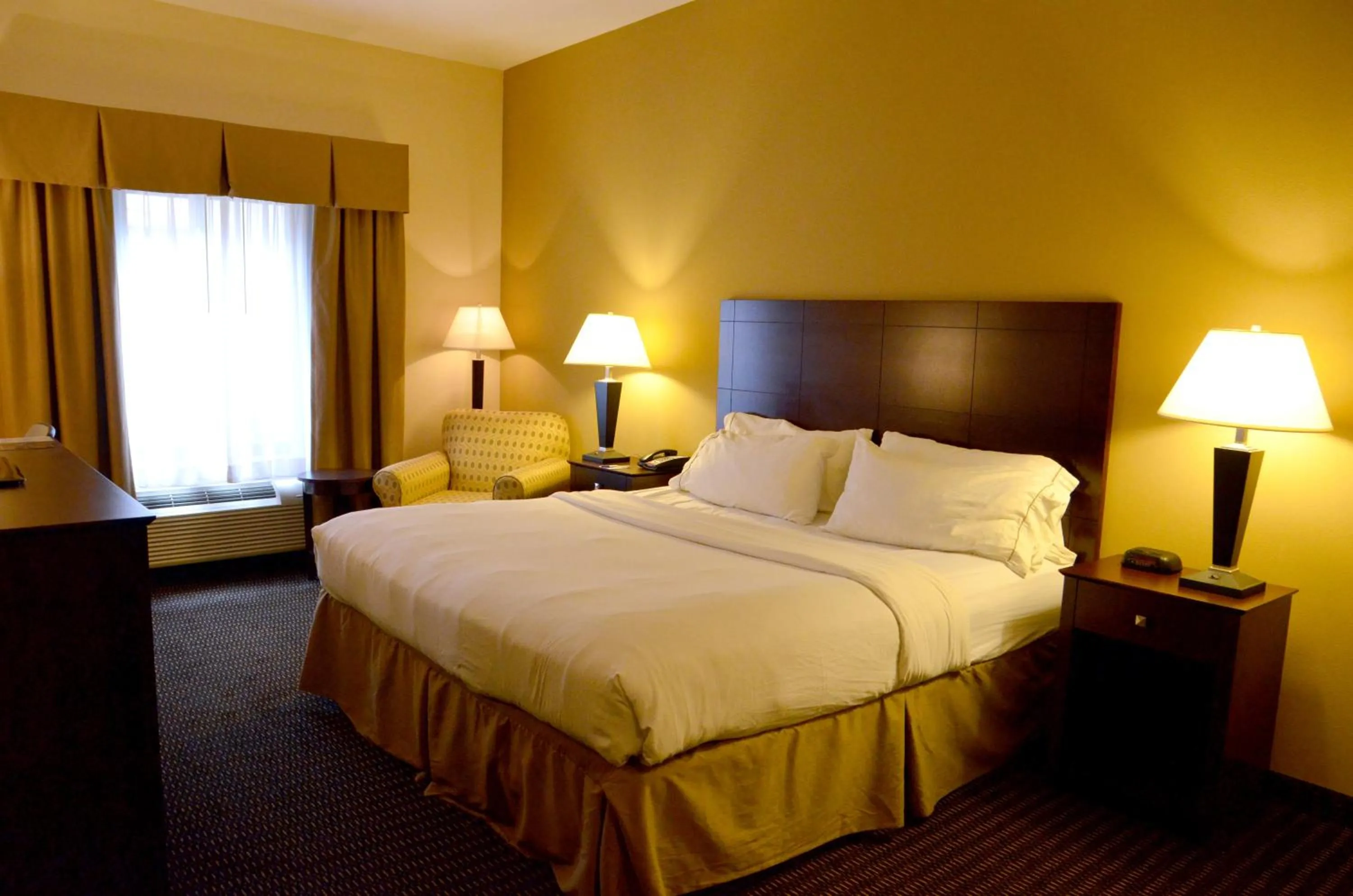Standard King Room in Holiday Inn Express & Suites Sidney by IHG