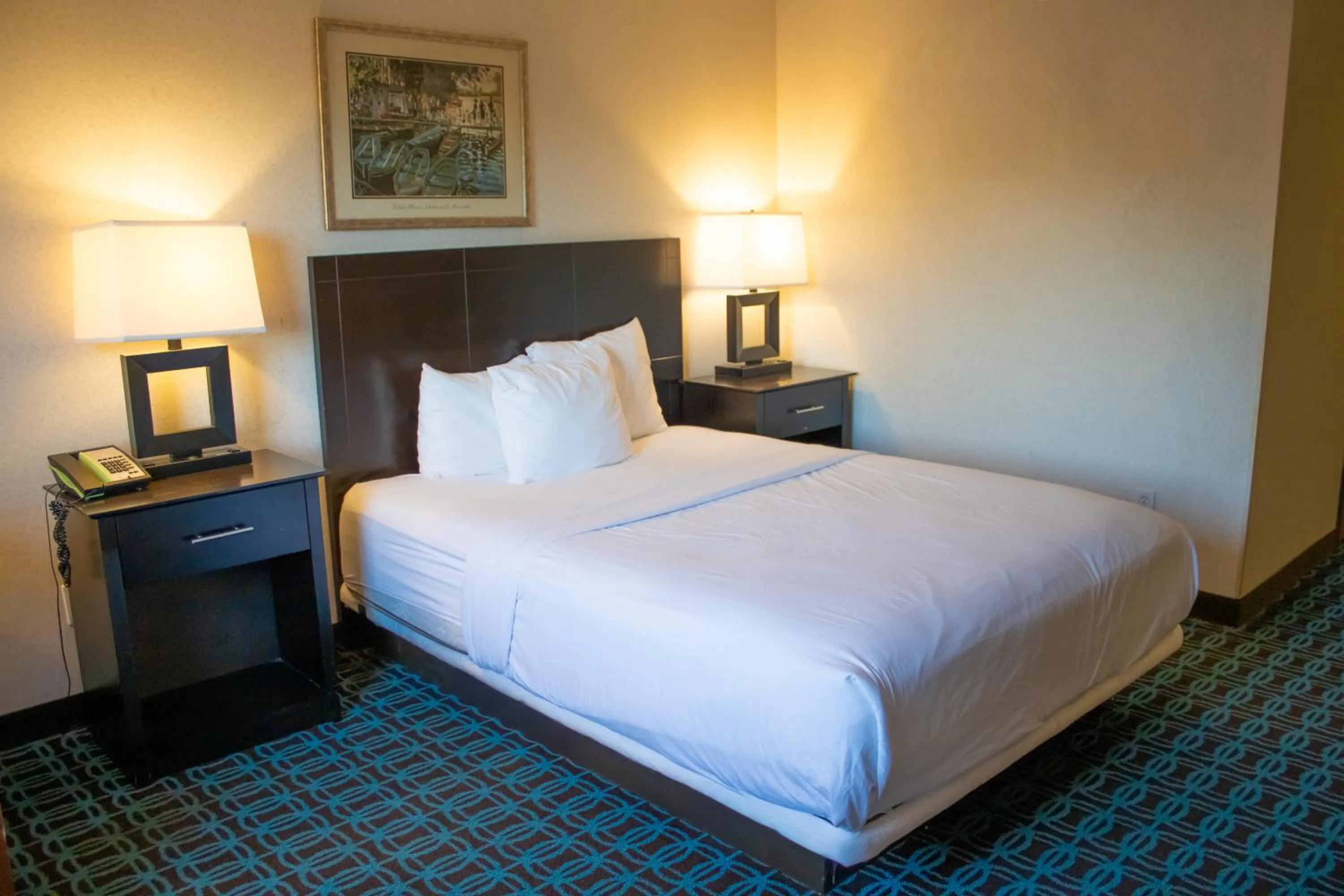 Queen Room with Roll-In Shower - Mobility Accessible/Non-Smoking in Baymont by Wyndham Howell/Brighton