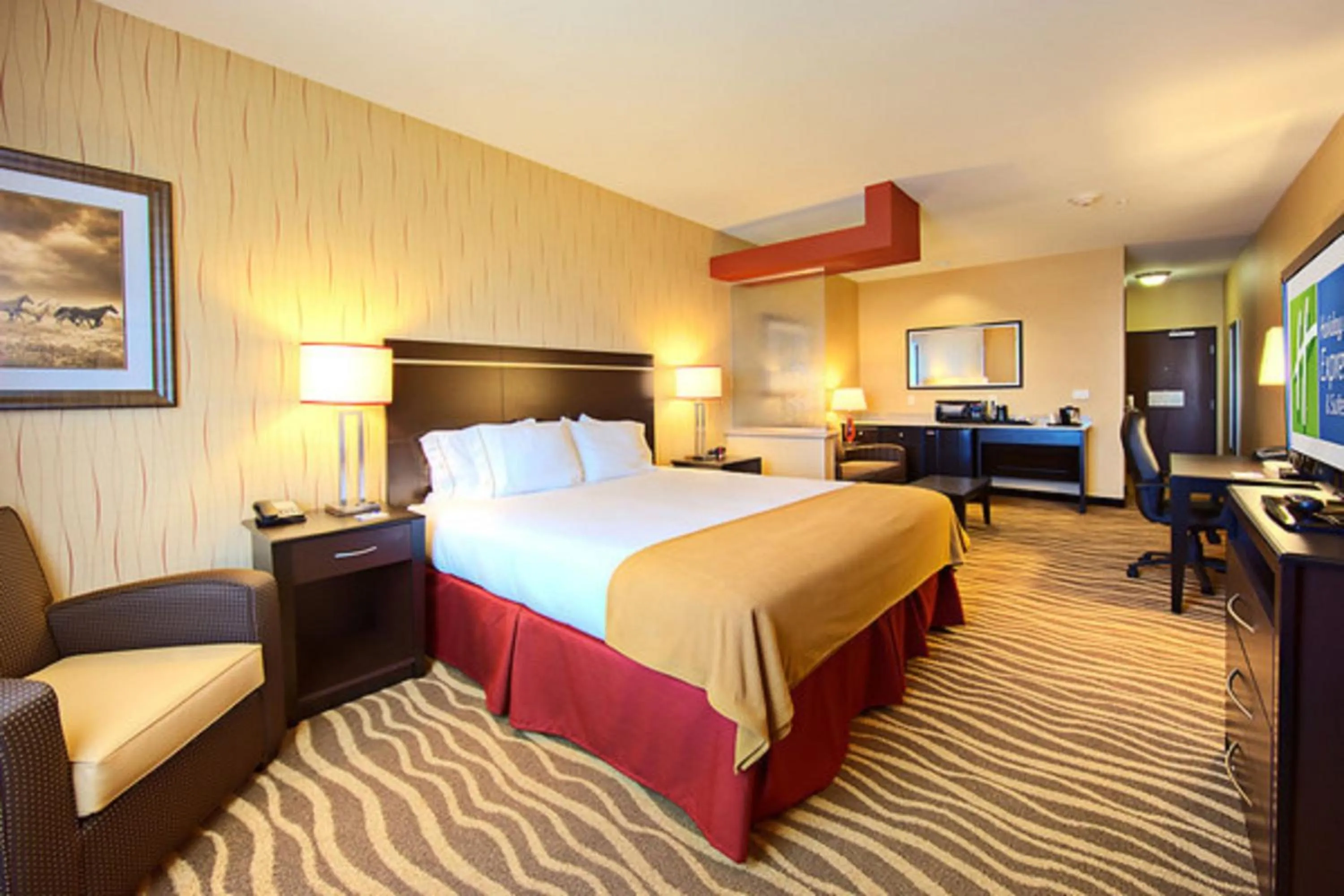 Standard King Room in Holiday Inn Express & Suites Cotulla by IHG