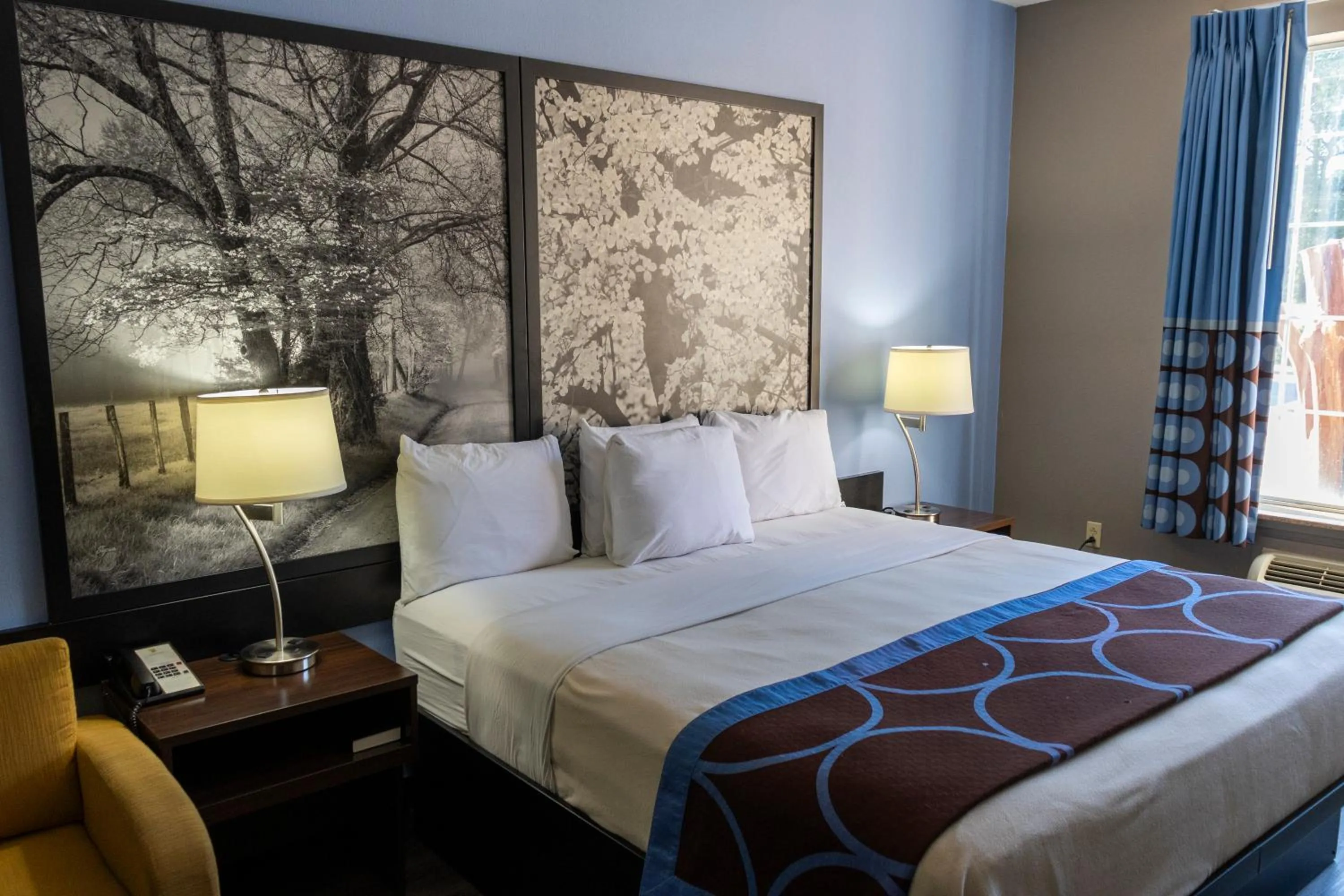 King Suite - Non-Smoking in Super 8 by Wyndham Smithfield-Selma