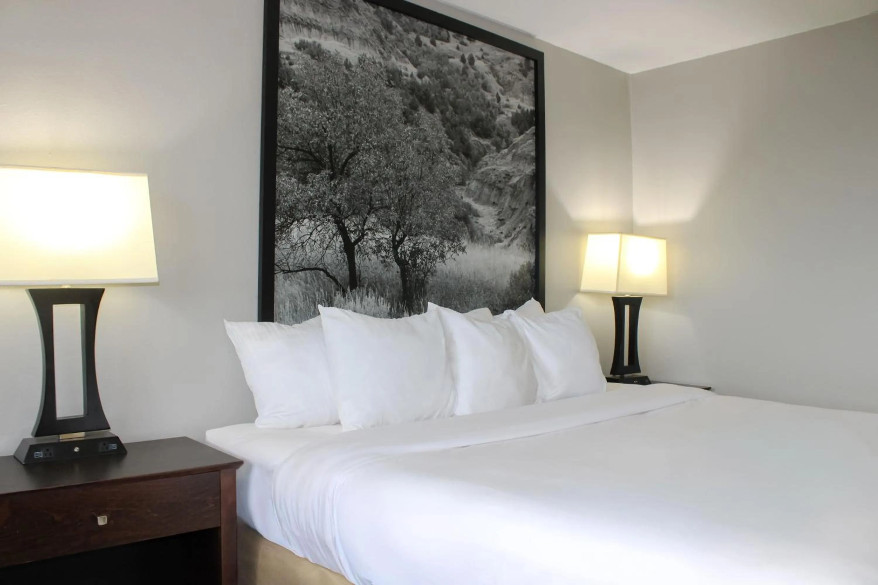 Queen Room - Non-Smoking in Super 8 by Wyndham Williston ND