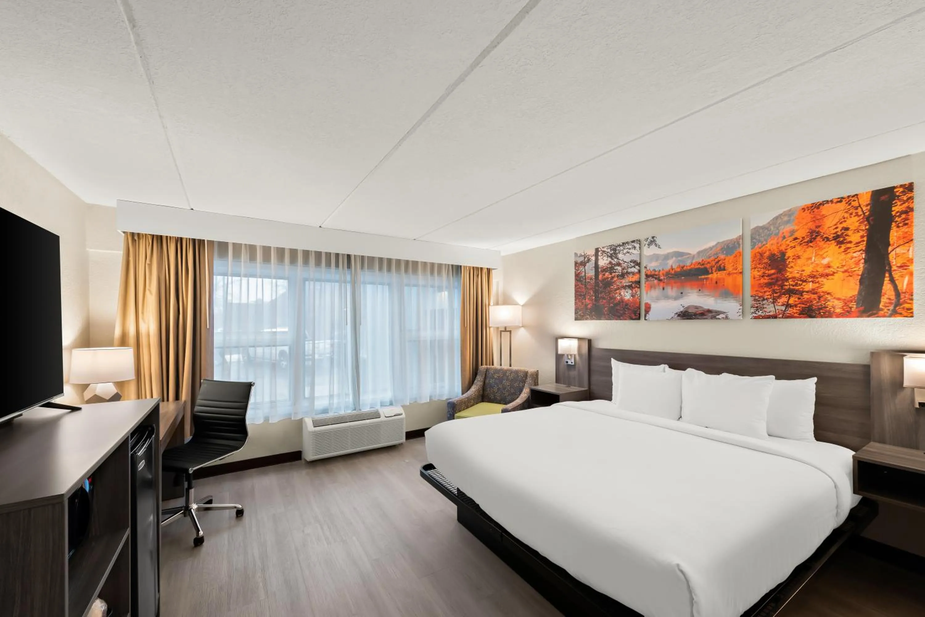 King Room - Pet Friendly/Non-Smoking in Clarion Pointe Rhinelander Downtown