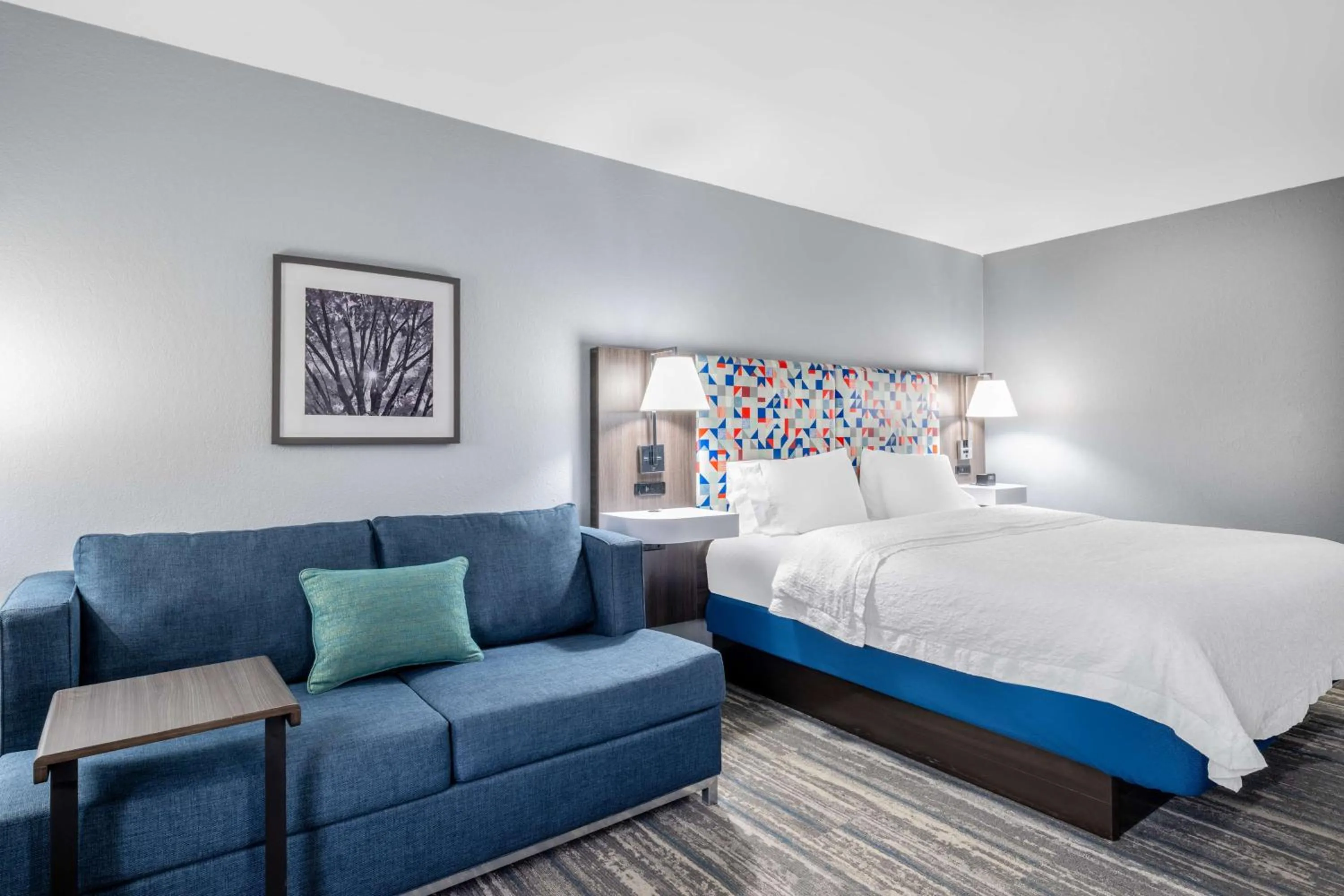 Deluxe King Room with Walk-In Shower in Hampton Inn Sanford
