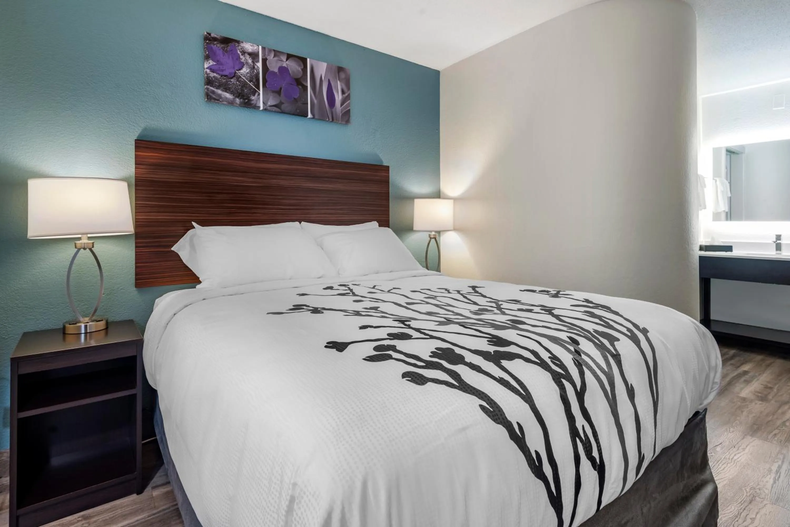 Queen Room - Accessible/Non-Smoking in Sleep Inn - Salisbury I-85